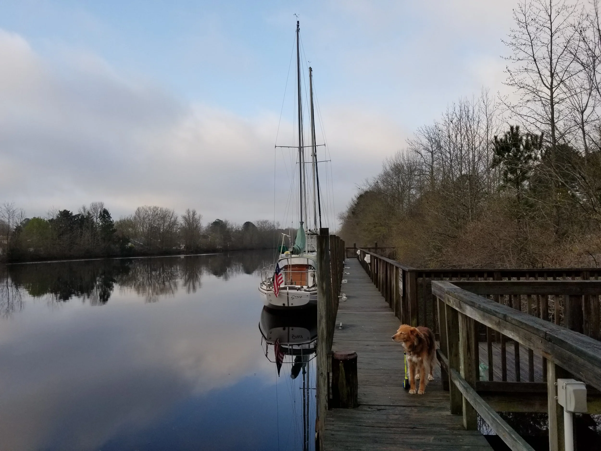 20190403_073707.jpg