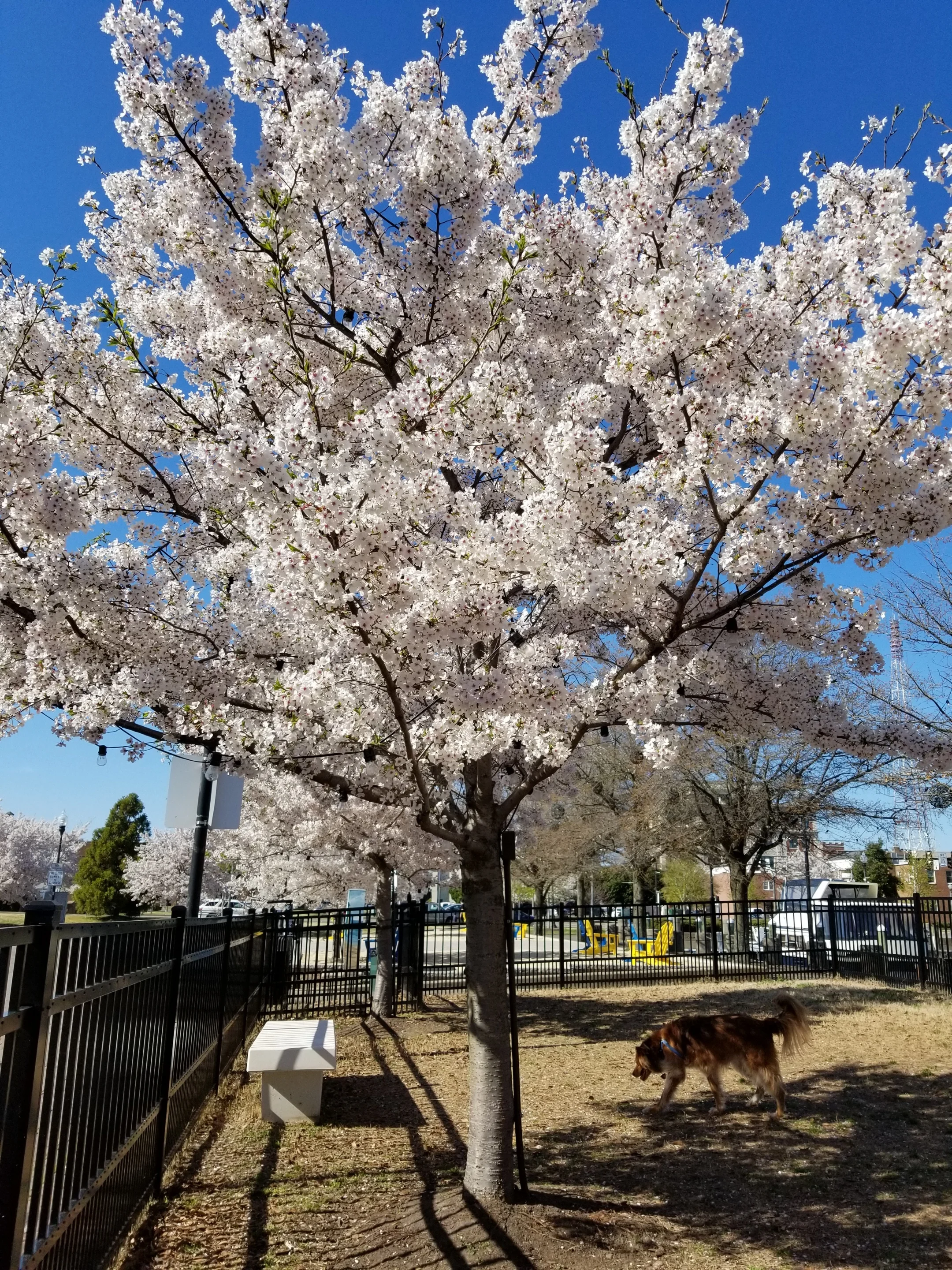20190403_161433.jpg