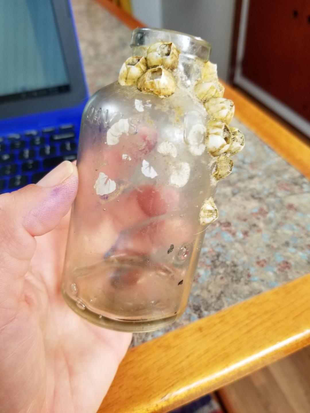 While walking Murphy on the sand spit, Dobbs found this bottle - Davis OK Baking Powder. He looked it up online and learned that this bottle dates from 1900-1910. A special find!