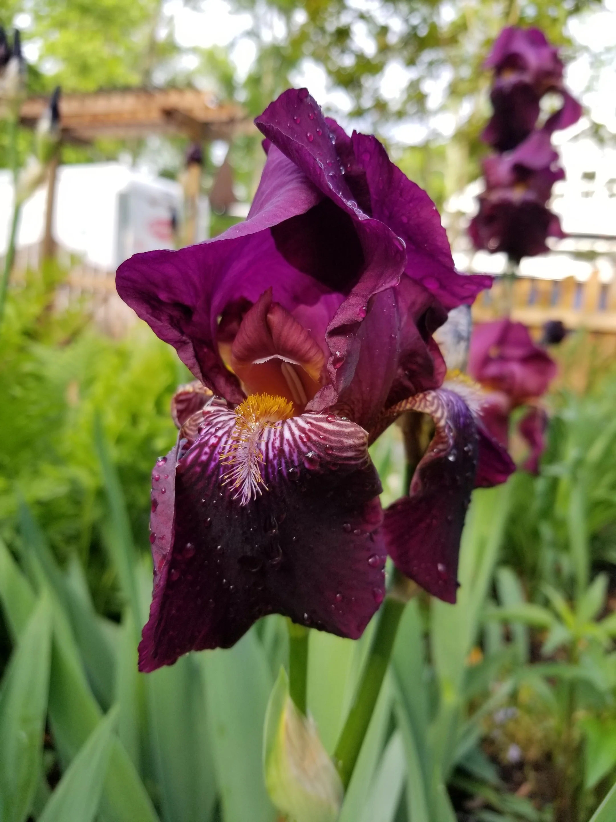 20190511_083232.jpg
