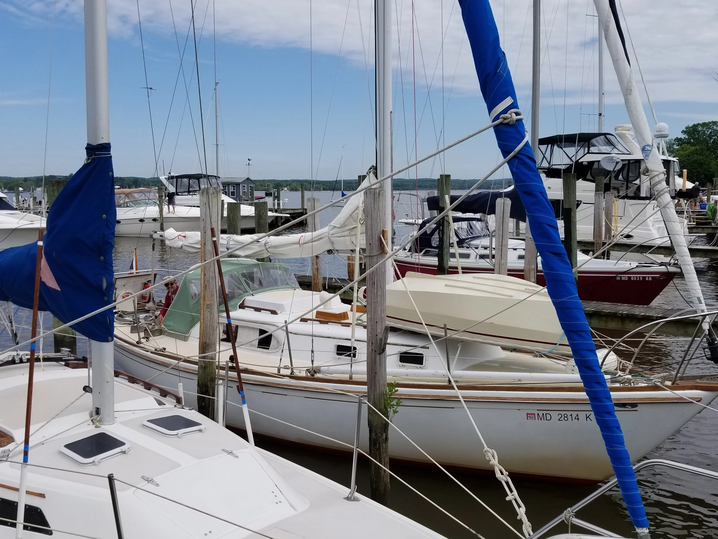 20190511_110046.jpg