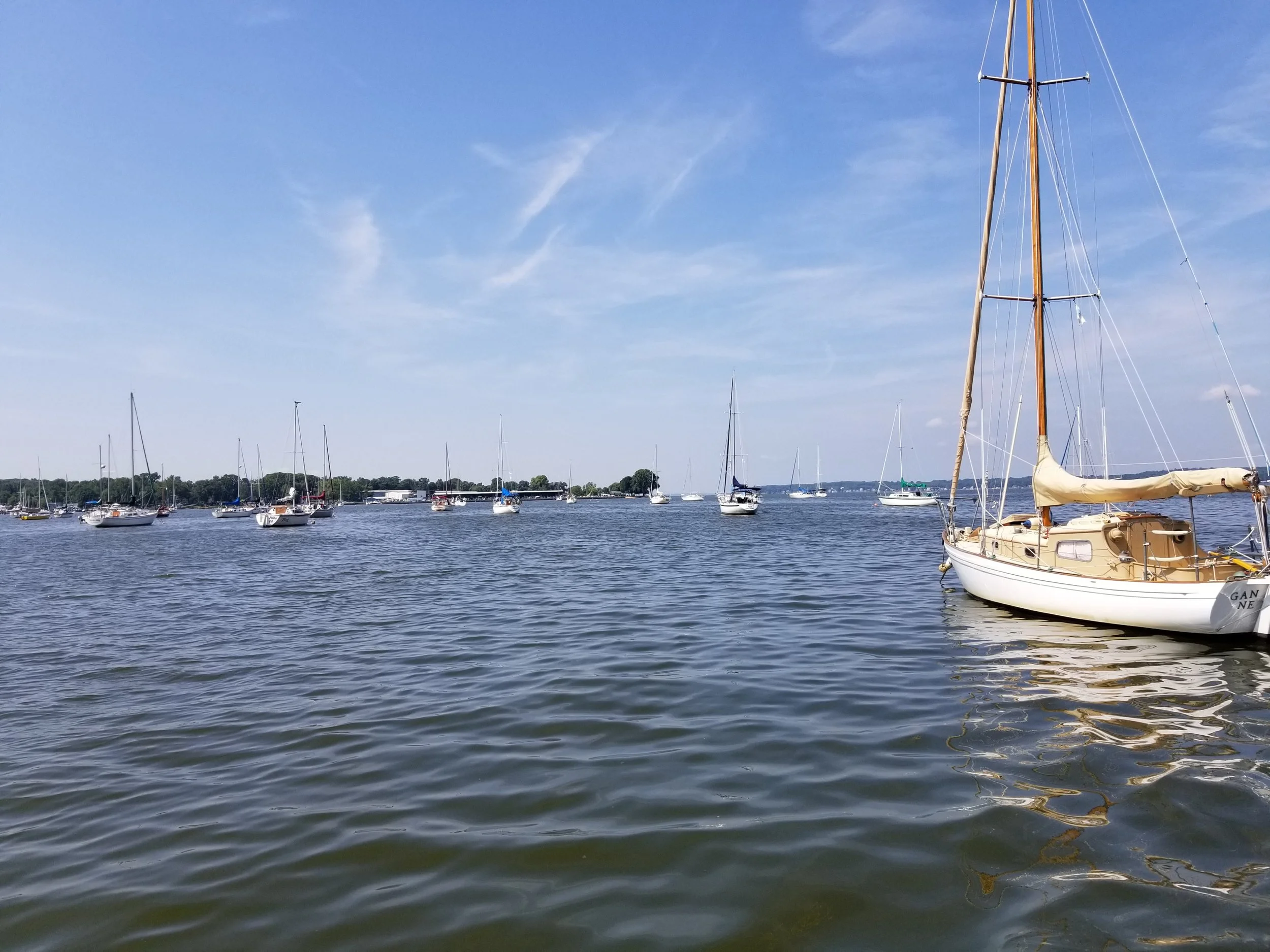20190710_103513.jpg