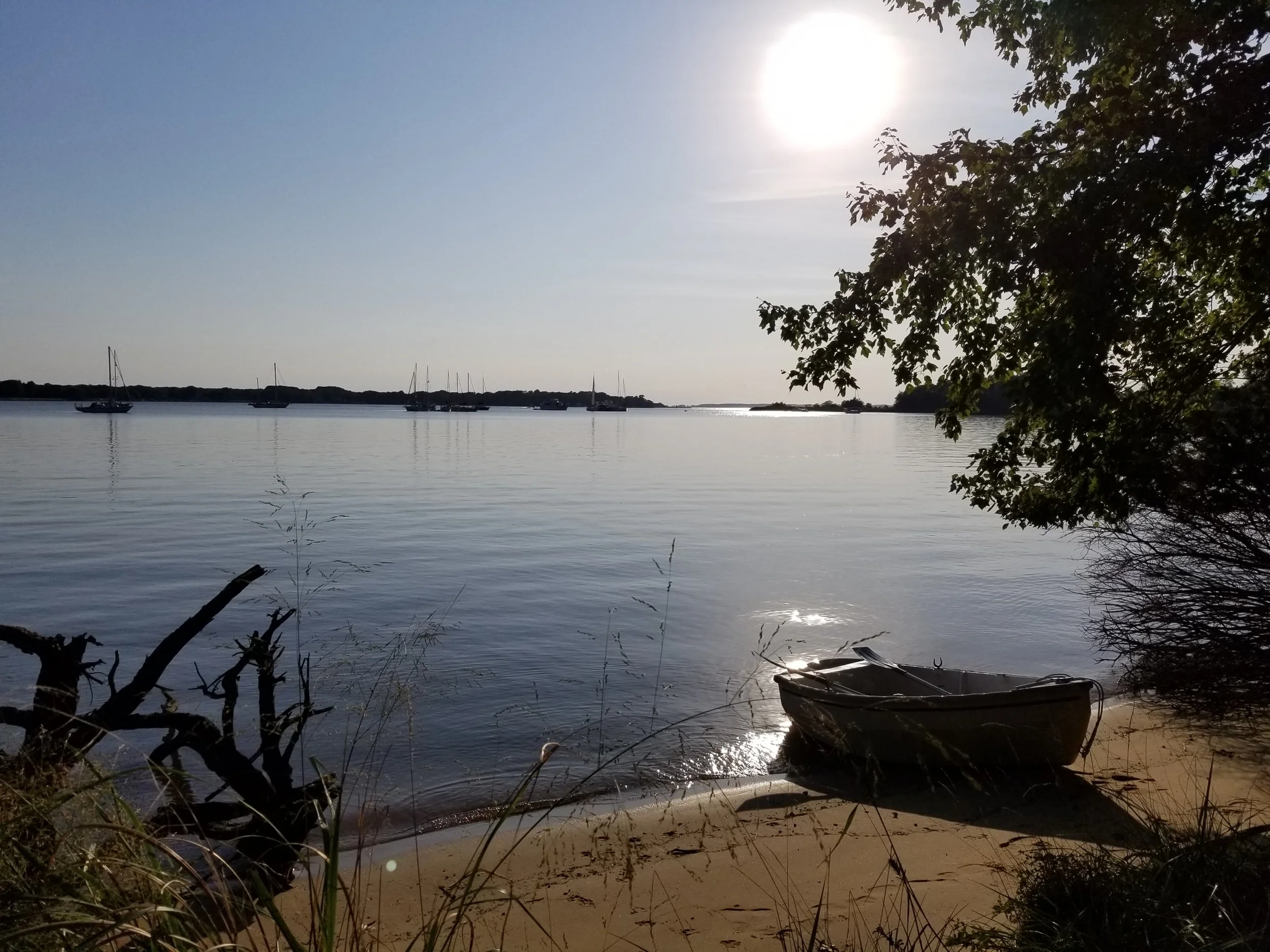 20190831_180116.jpg