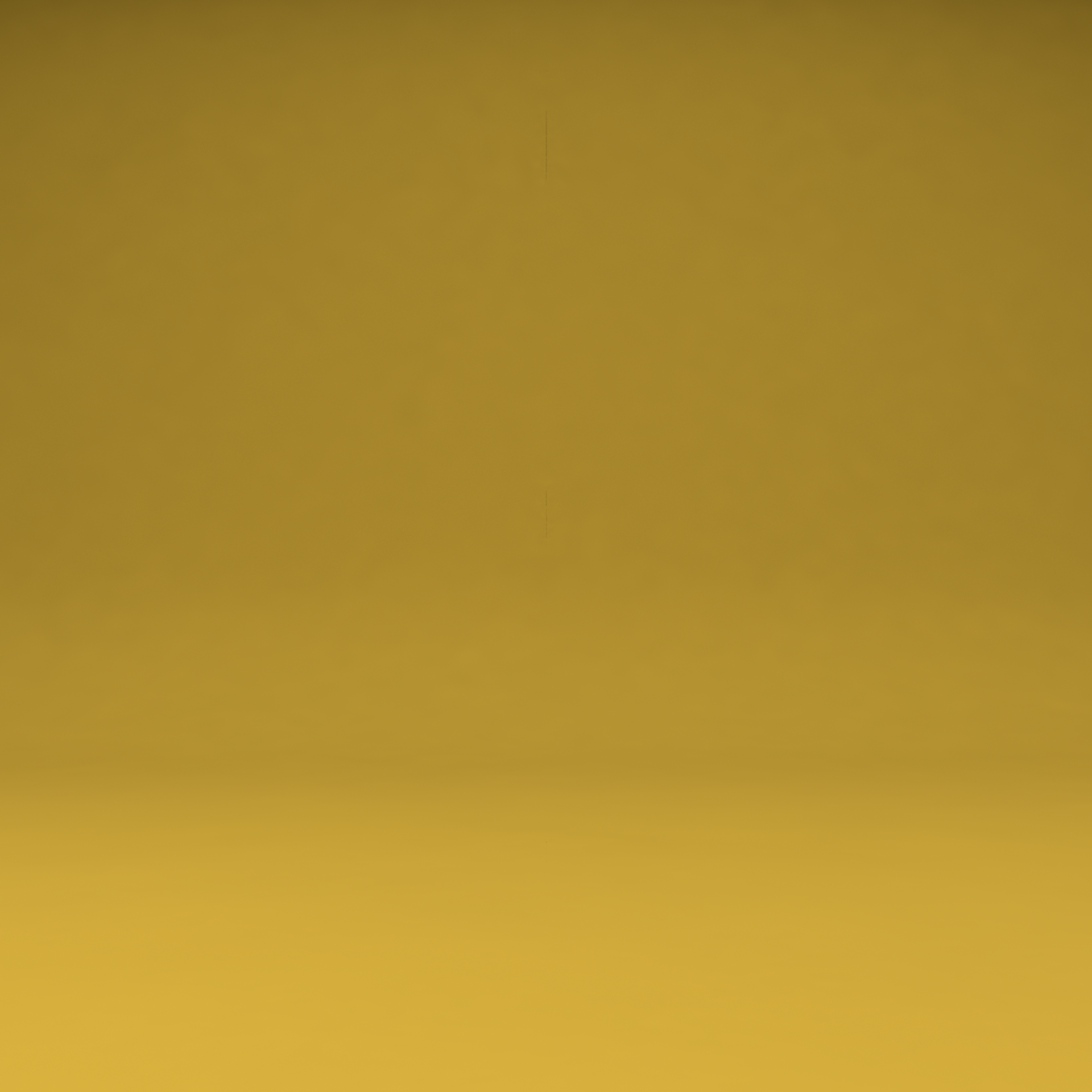 fond_jaune_SEUL0129.png