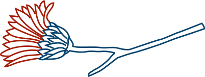 flower-color.png