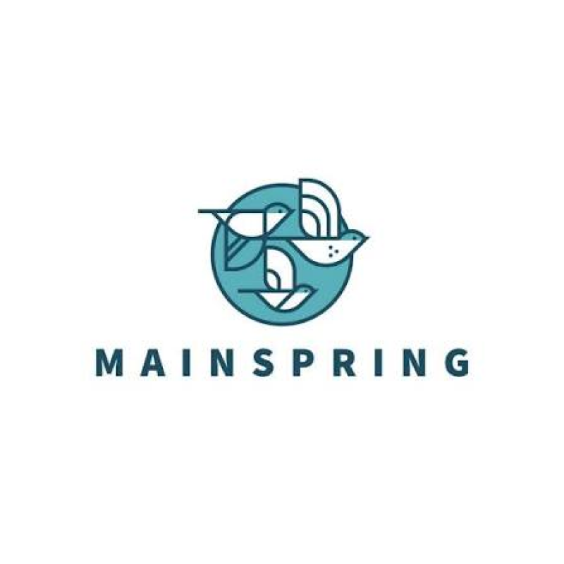 MAINSPRING.png