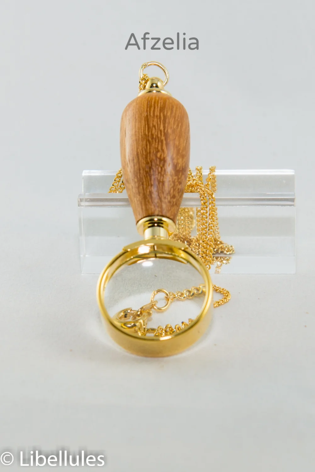 Mini Magnifier Necklace-2977.jpg