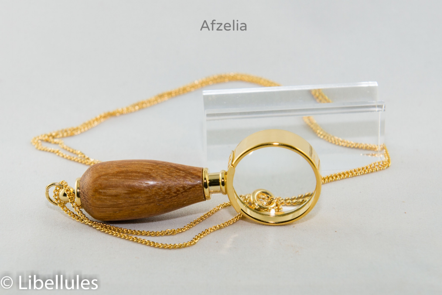 Mini Magnifier Necklace-2978.jpg