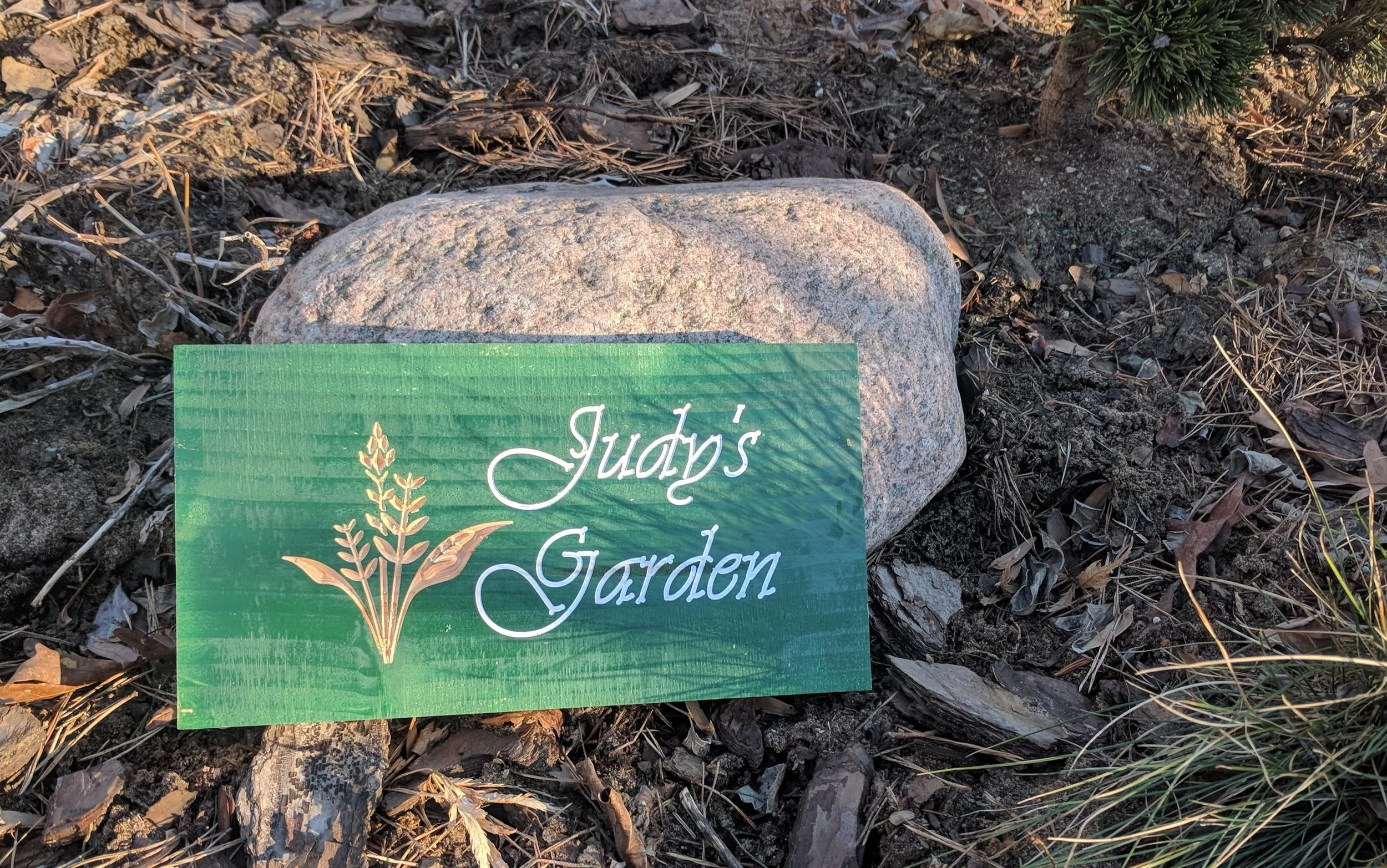 Judys Garden.jpg