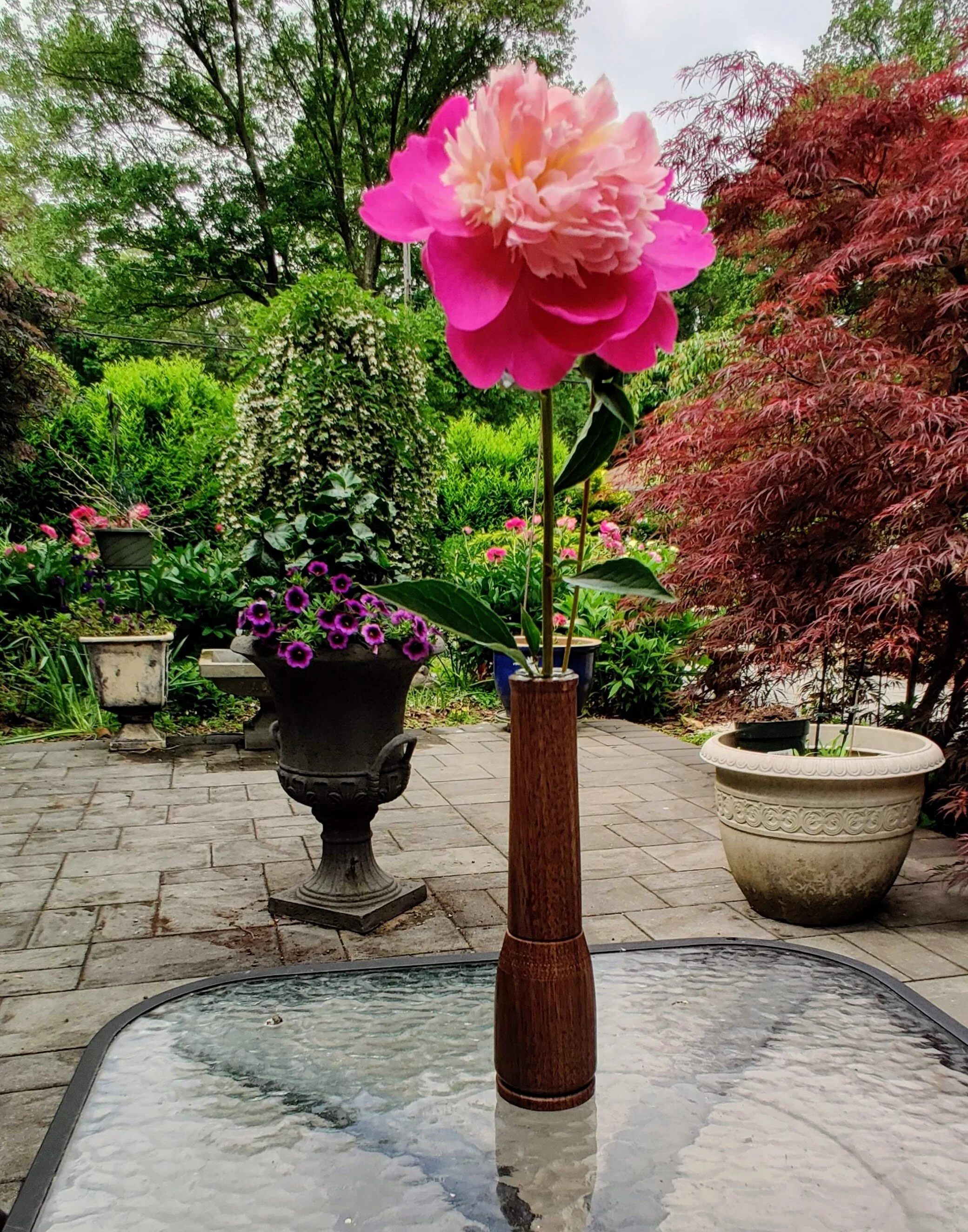 Walnut Vase   (9 x 2-1/4 inch)