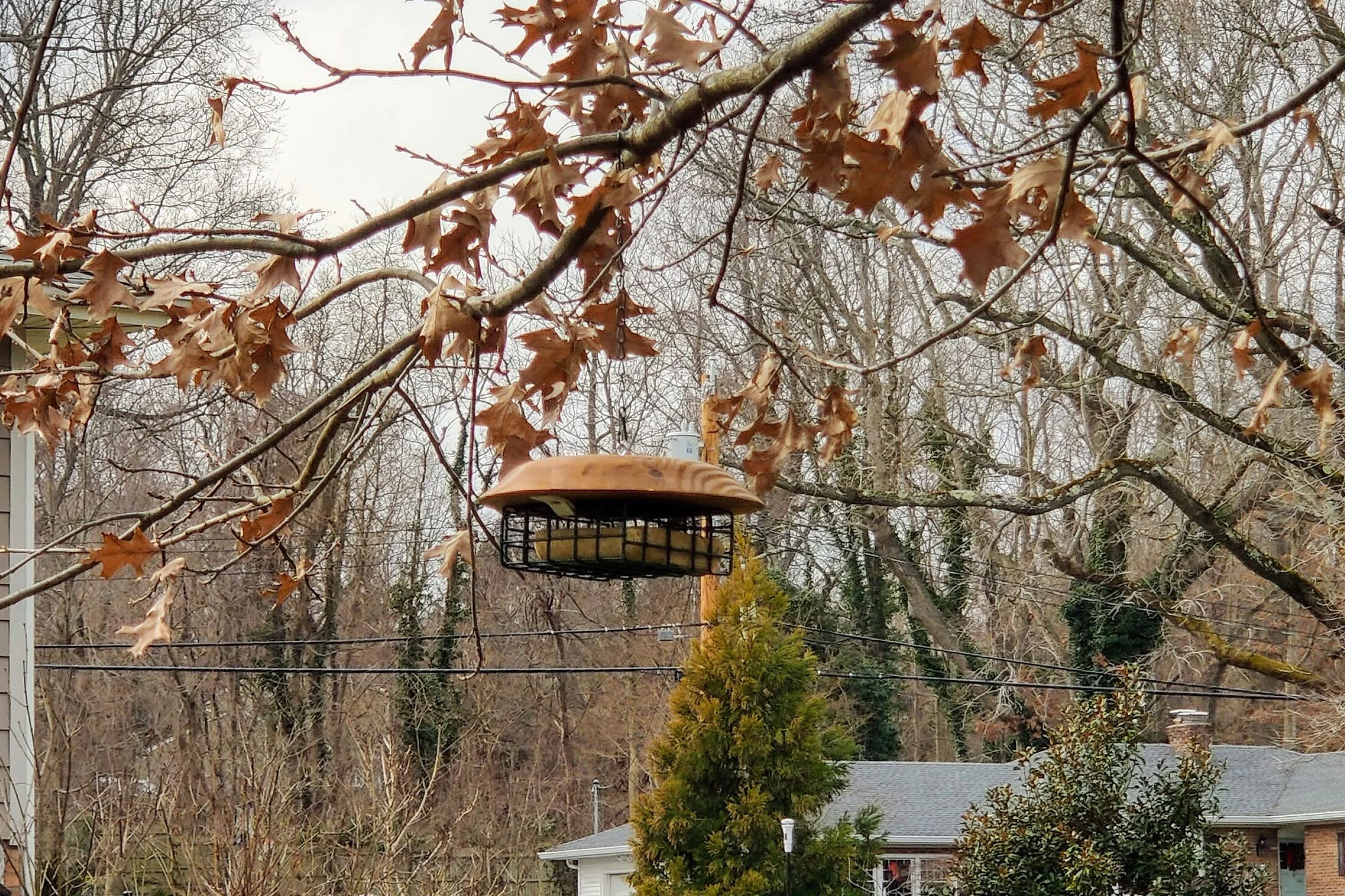 IMG_20210108_115641.jpg