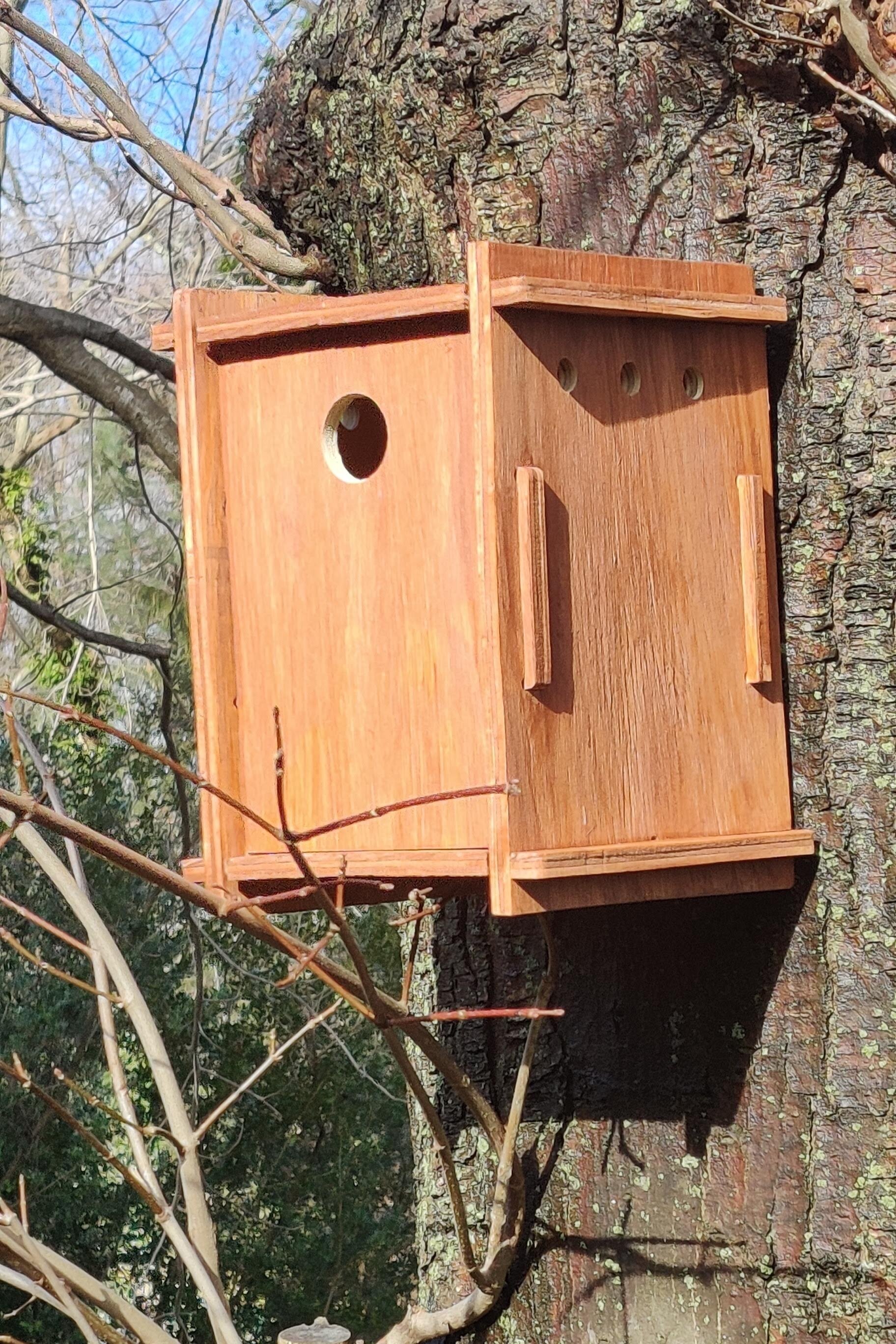 Modern Bird Nesting Box