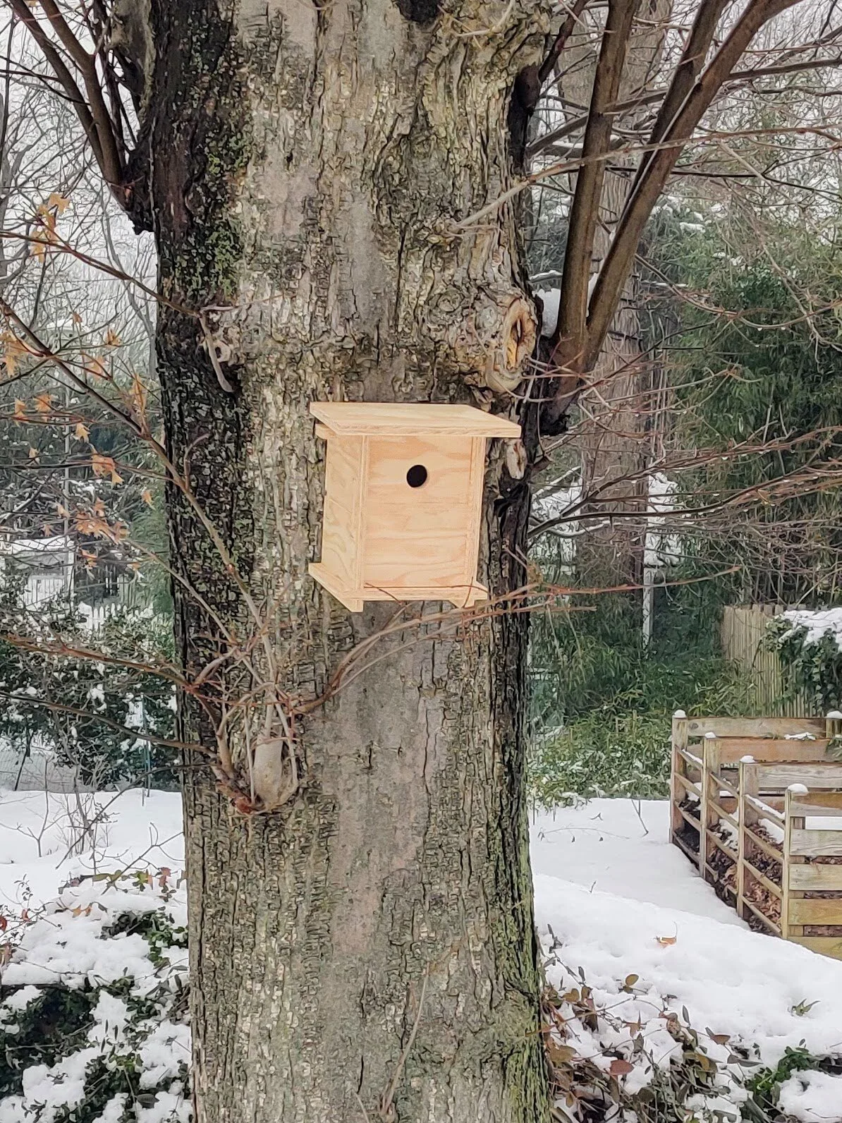 Bird Nesting Box: Chickadee, House Wren