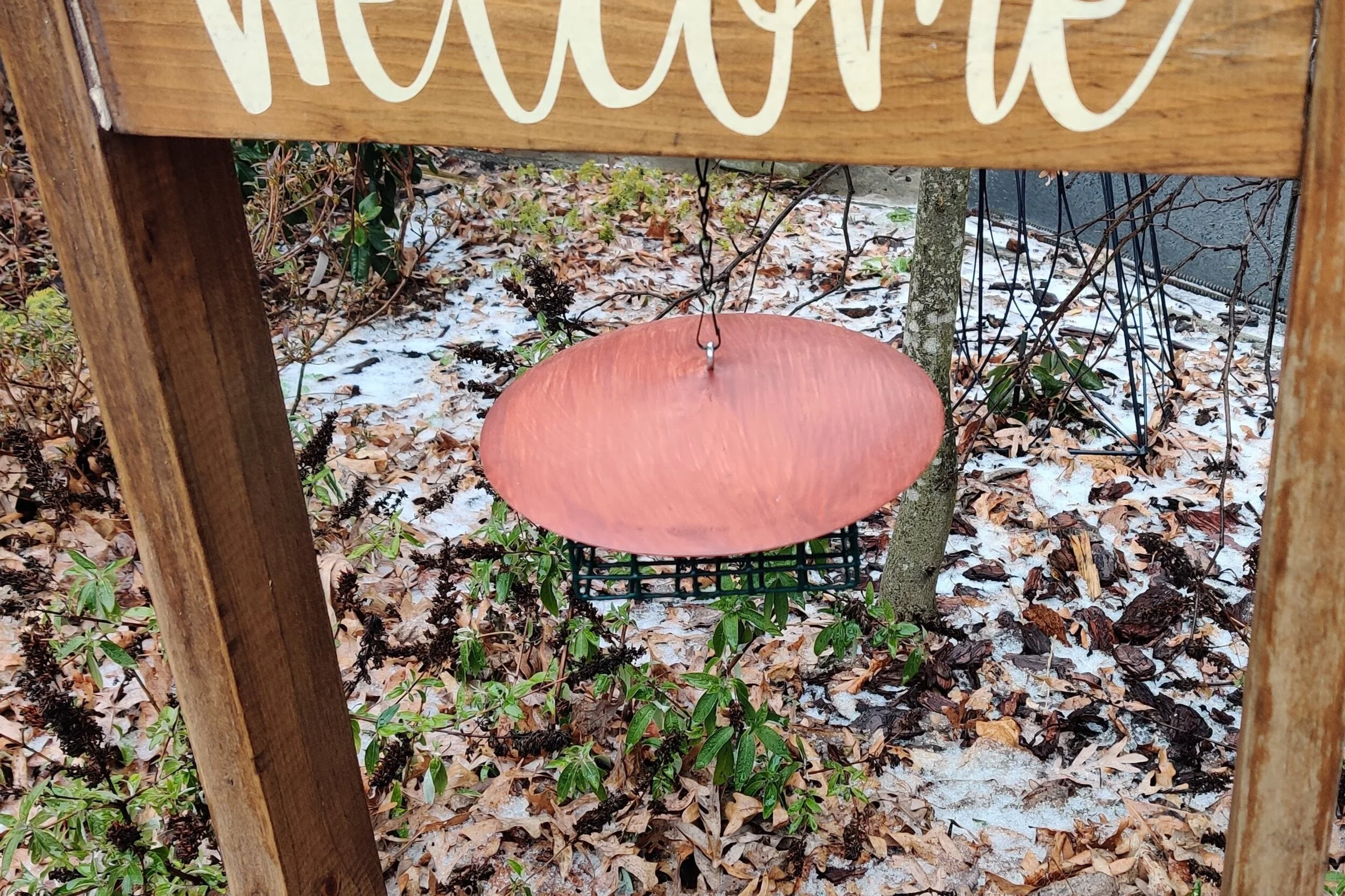 Upside-Down Bird Suet Feeder - Many Colors!