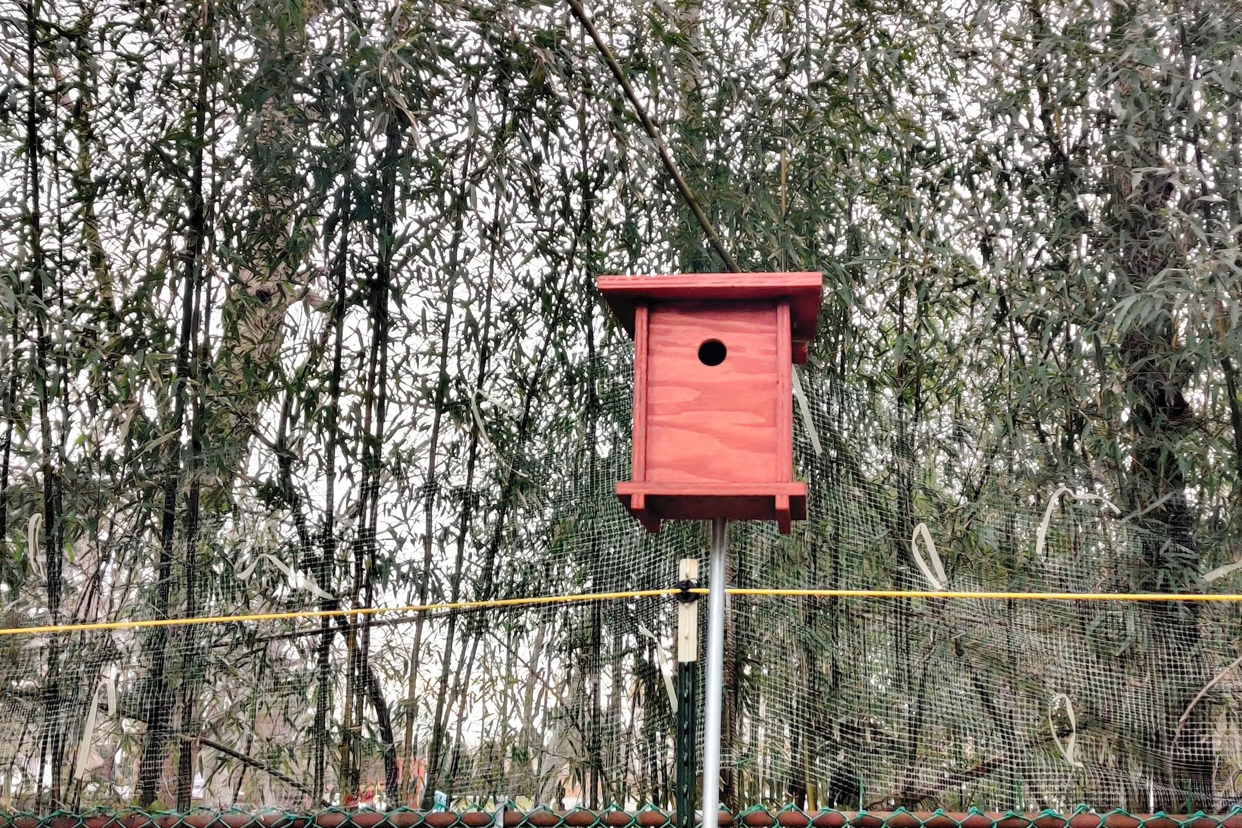 IMG_20210301_164244.jpg
