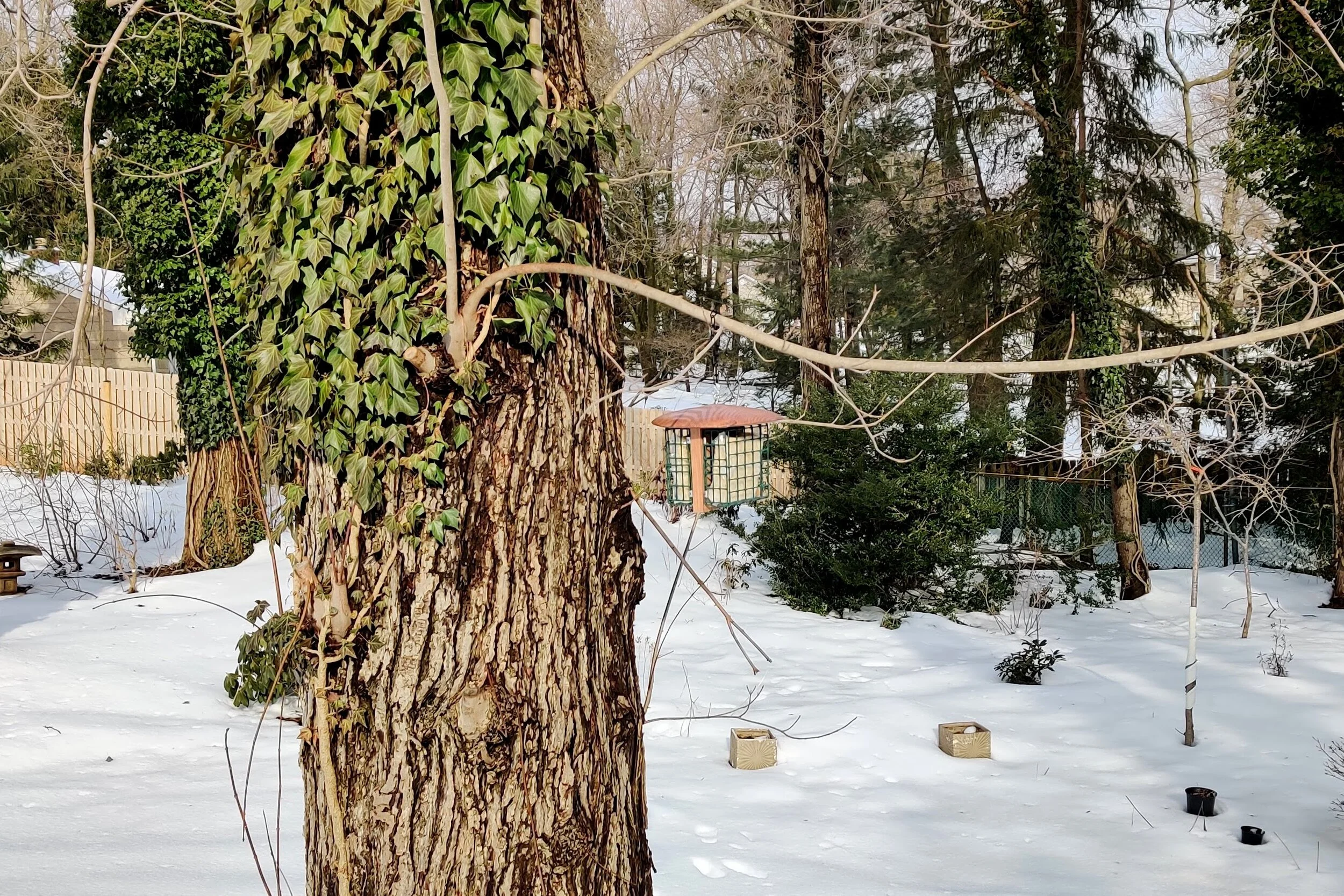 IMG_20210223_085727.jpg
