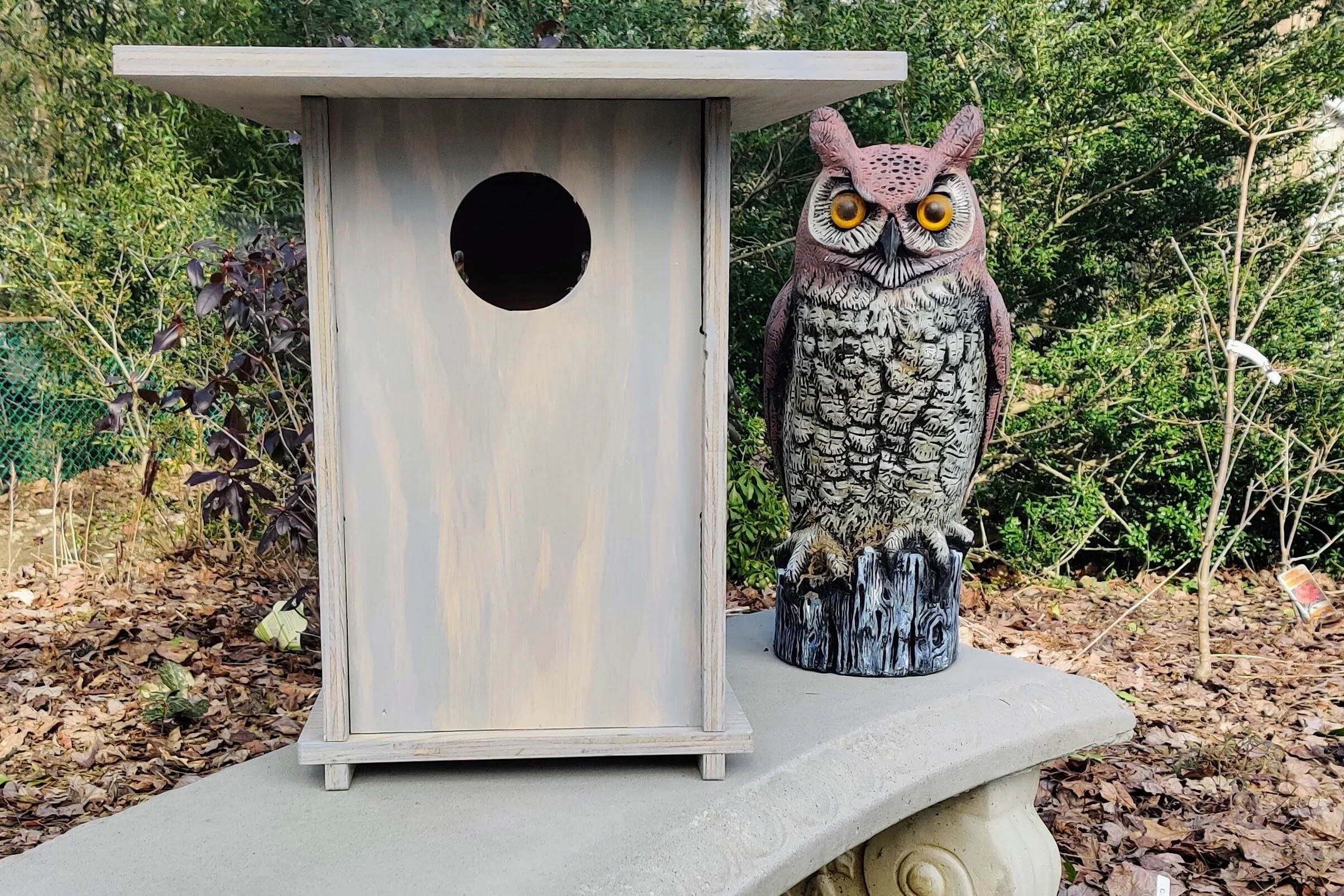 Bird Owl Nesting Box: Northern Saw-Whet/ Screech Owl