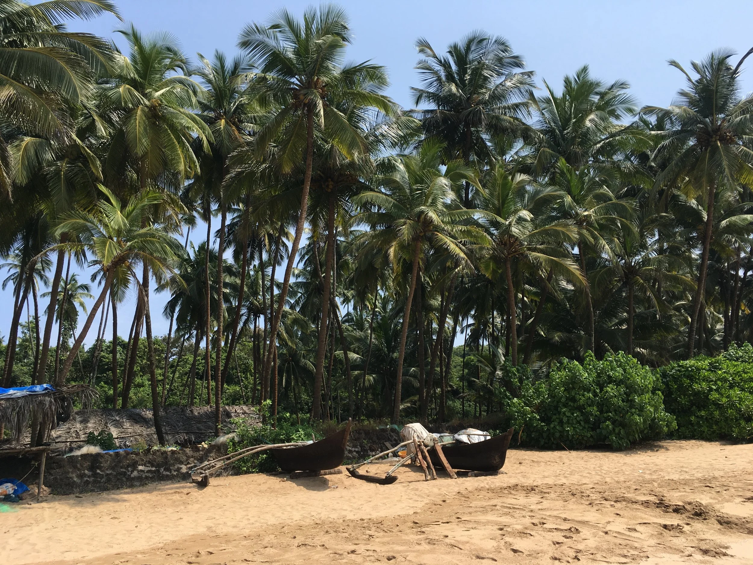 Little Cove Yoga Retreat