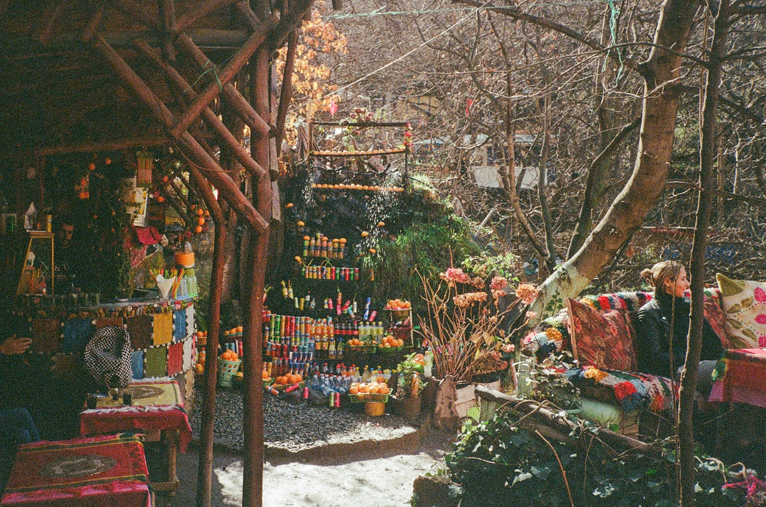 IMG_1240.jpeg