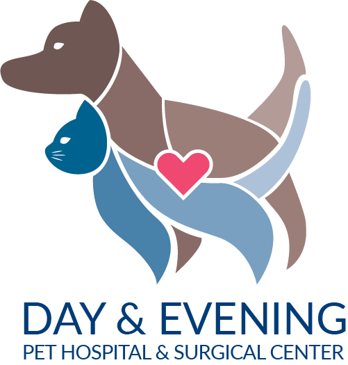 day-evening-pet-hospital-surgical-center.png