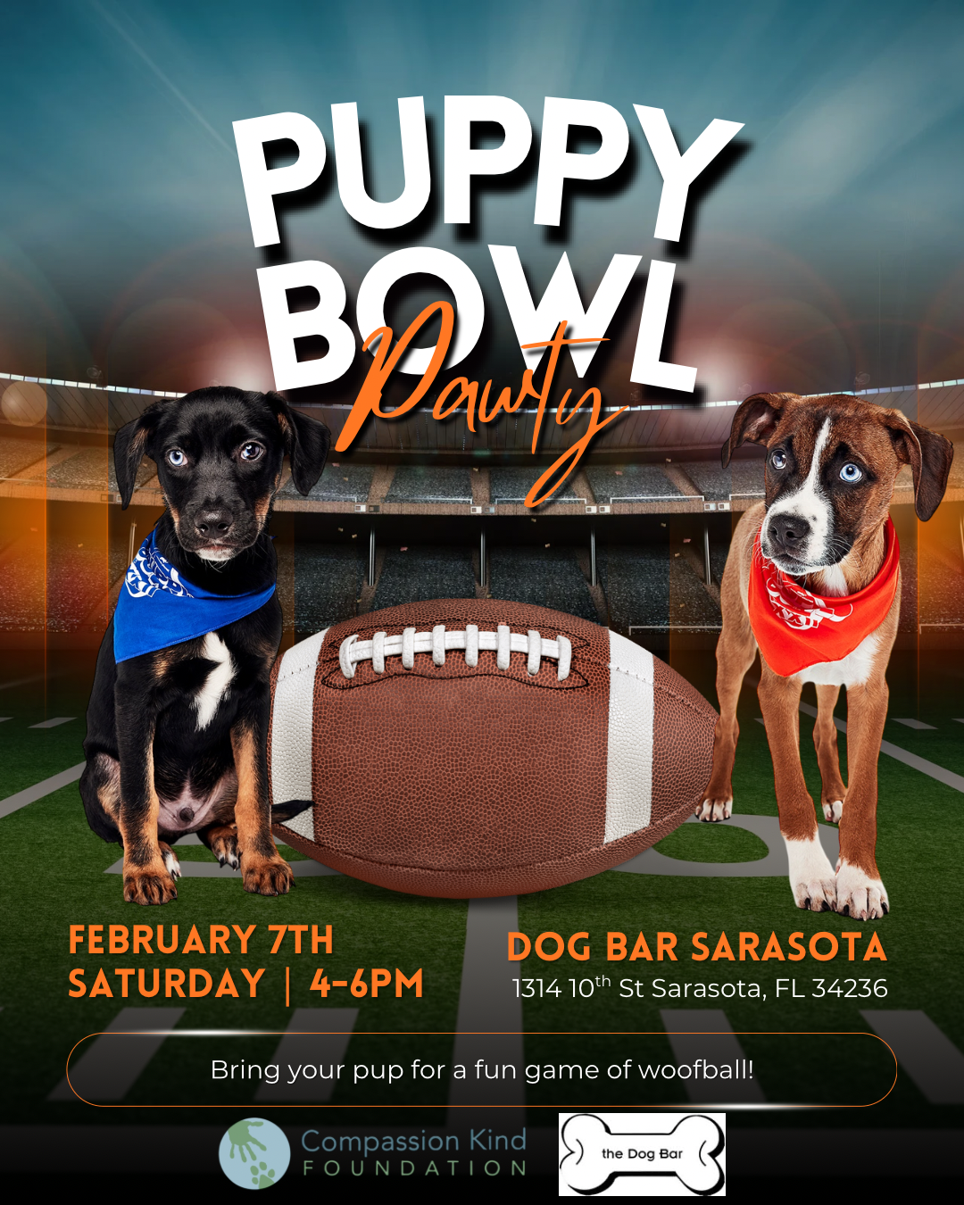 Puppy Bowl at Dog Bar Sarasota