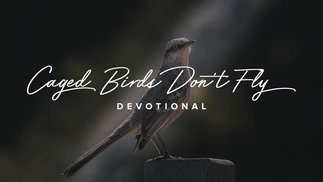CAGED BIRDS DON'T FLY