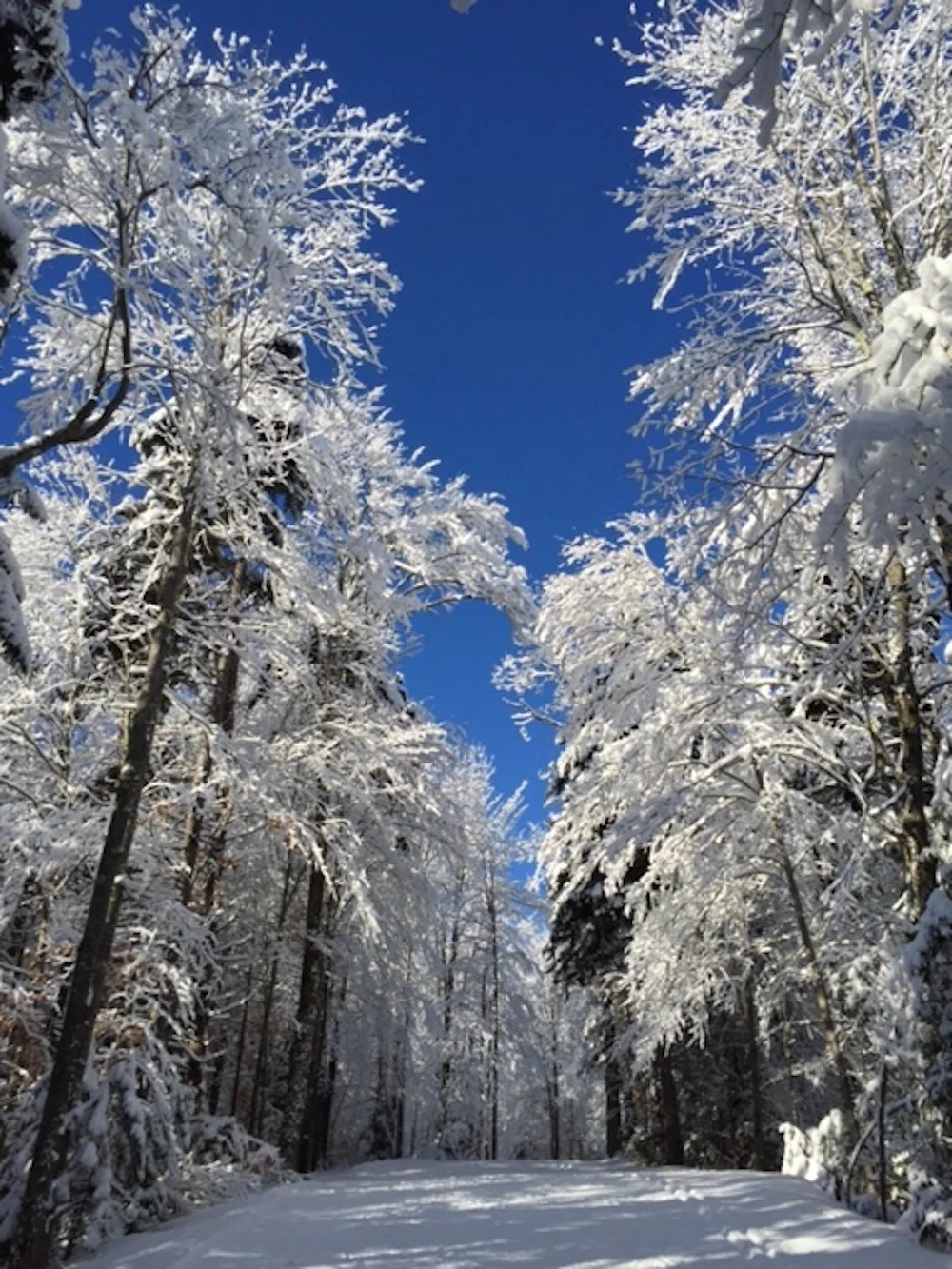 Winter