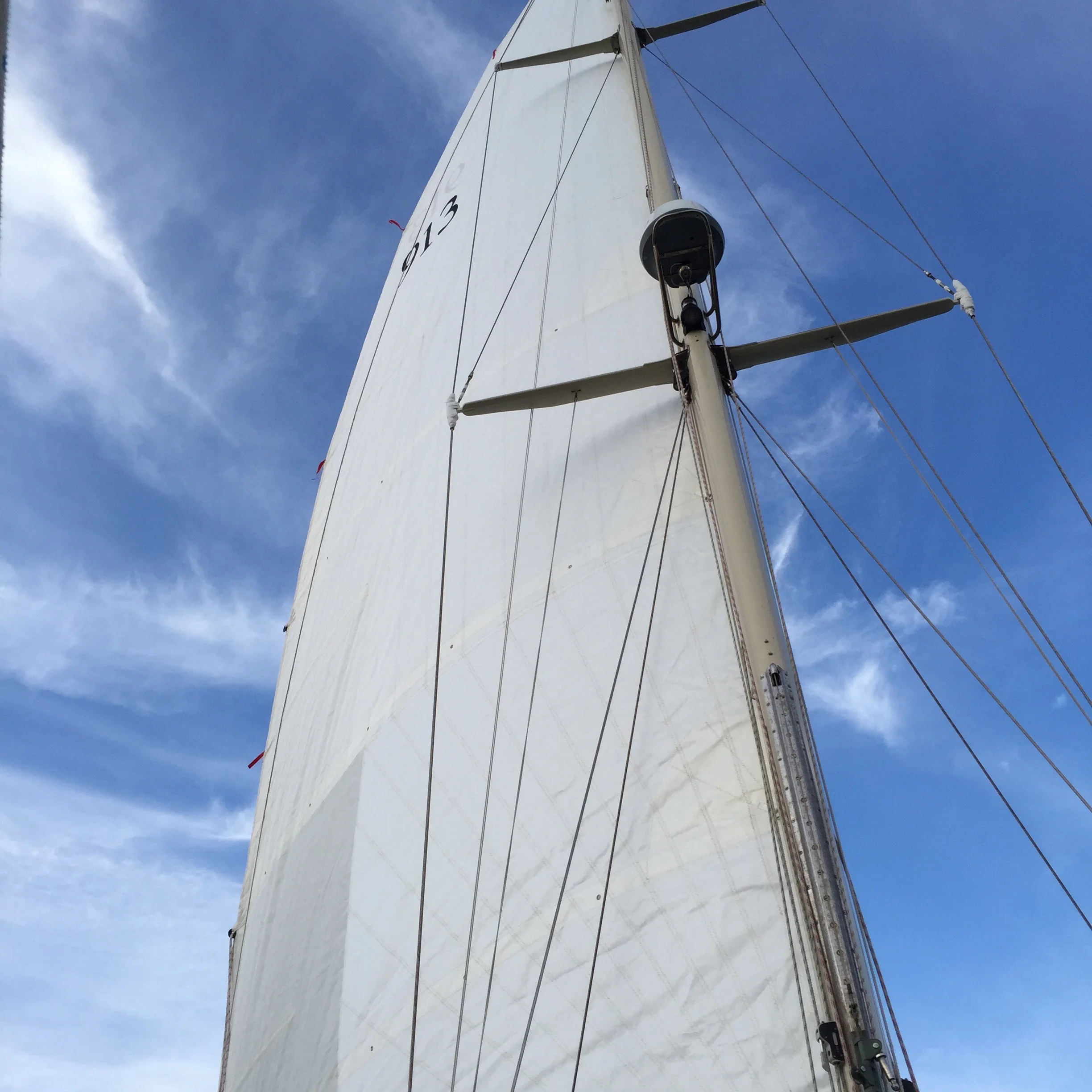 A Courageous Voyage