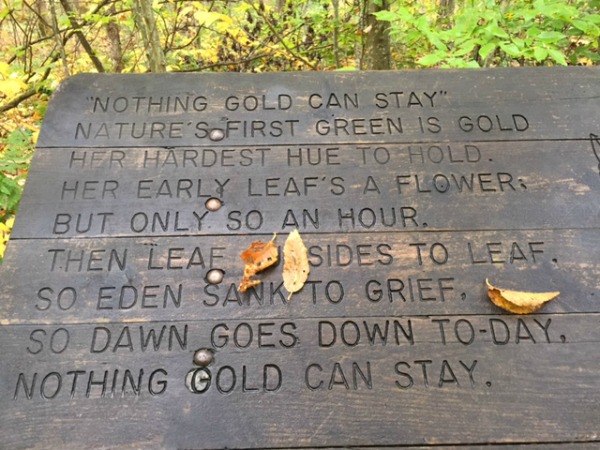 gold.jpg