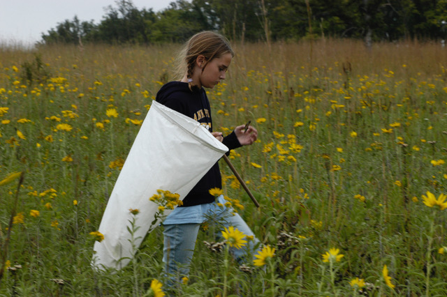 The College School Butterfly Project at Shaw Nature Reserve