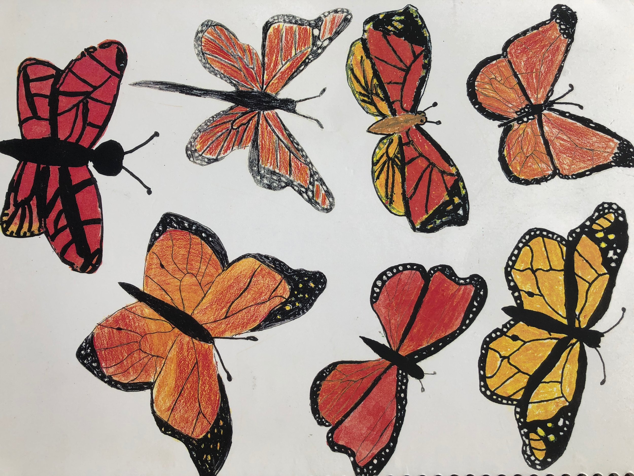 Fifth Grade monarch portraits
