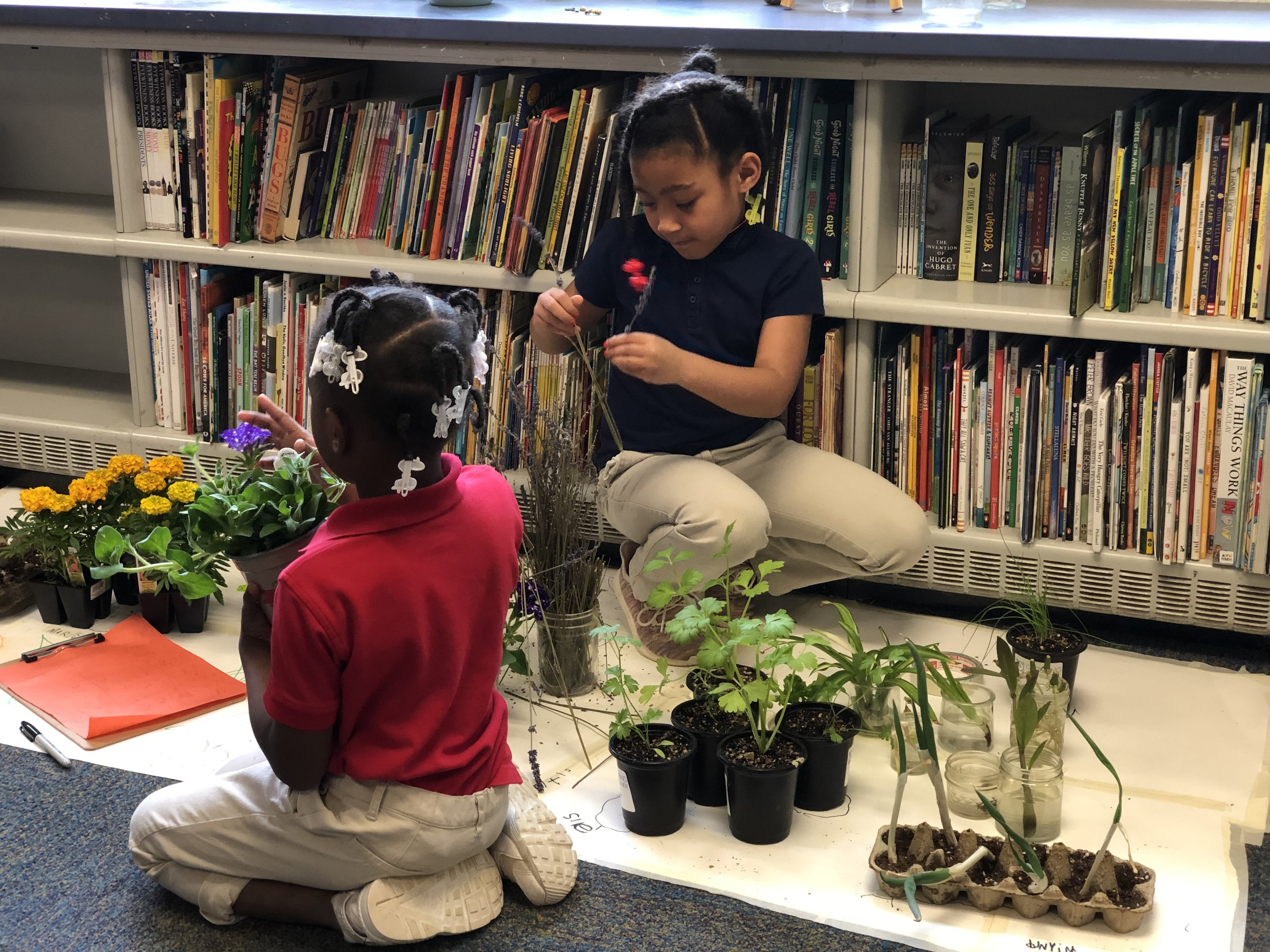 Planting project at new IPS Butler University Laboratory School