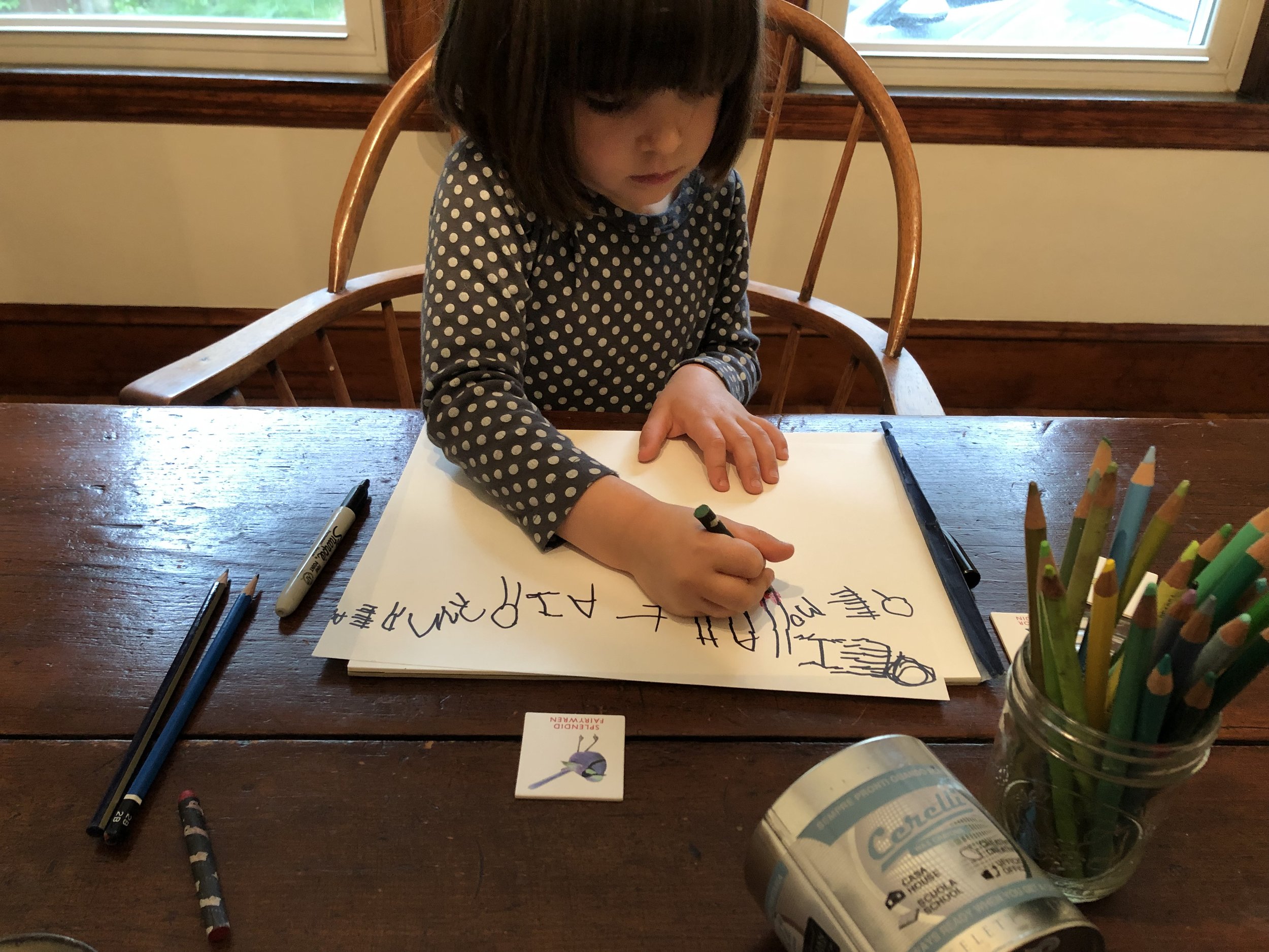Delilah, age four, writing names of her favorite birds.