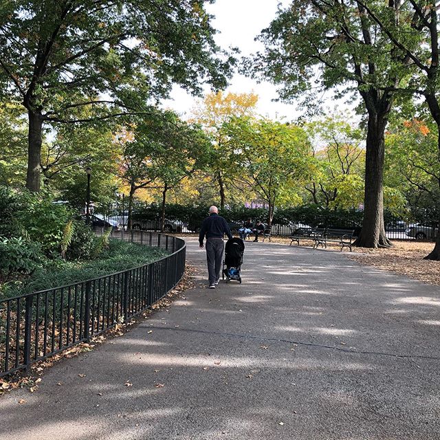 Posted a blog piece about nurturing an ecological identity after a sweet week with our grandson Jack in McCarren Park in Brooklyn, NY. Link in profile. #thegoodnessofrain #annpelo #leavenochildinside #reggioinspired #environmentasthirdteacher #mccarr