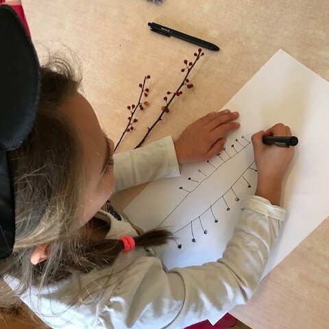 &ldquo;Bug Drawing,&rdquo; photo sent to me by Spring Hill School after our graphics workshop 2 weeks ago. They called it Spider Drawing.  Pretend you are a tiny spider crawling slowly along the stems and berries. Follow the path of the spider with y