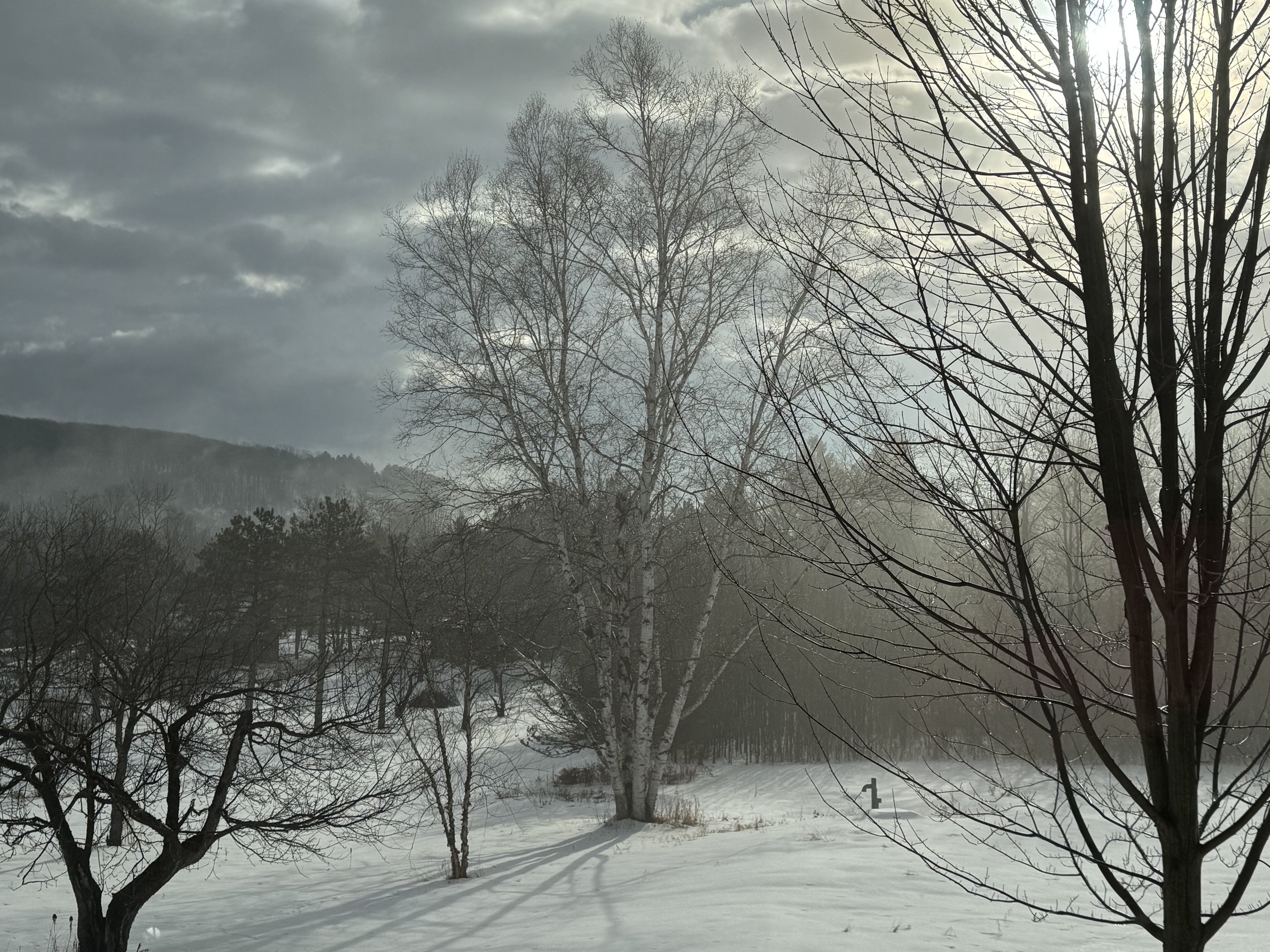 Grounding and Gratitude