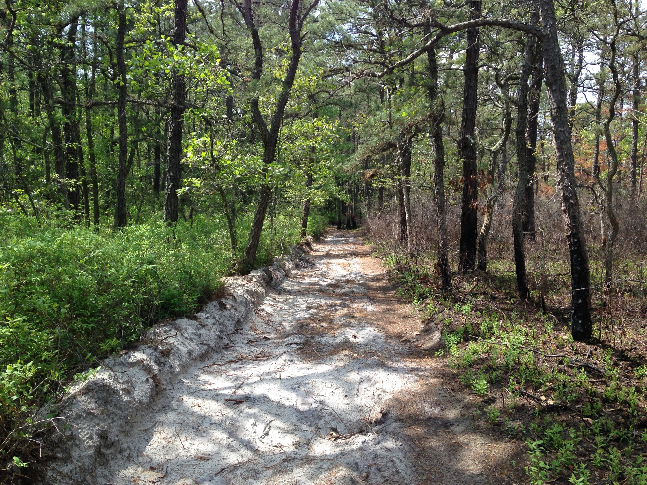 left no burn, right 3 mo past burn.jpg