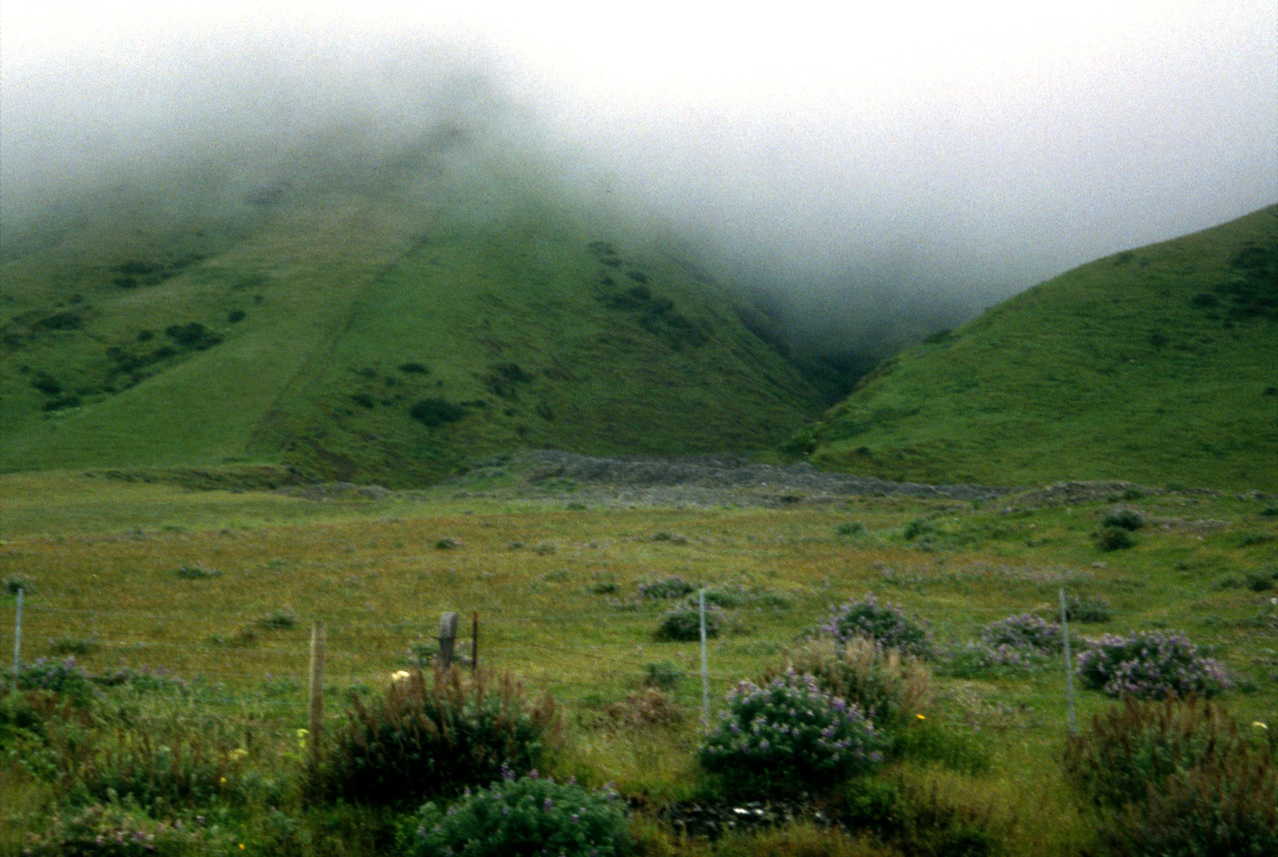 T1ranchland.jpg