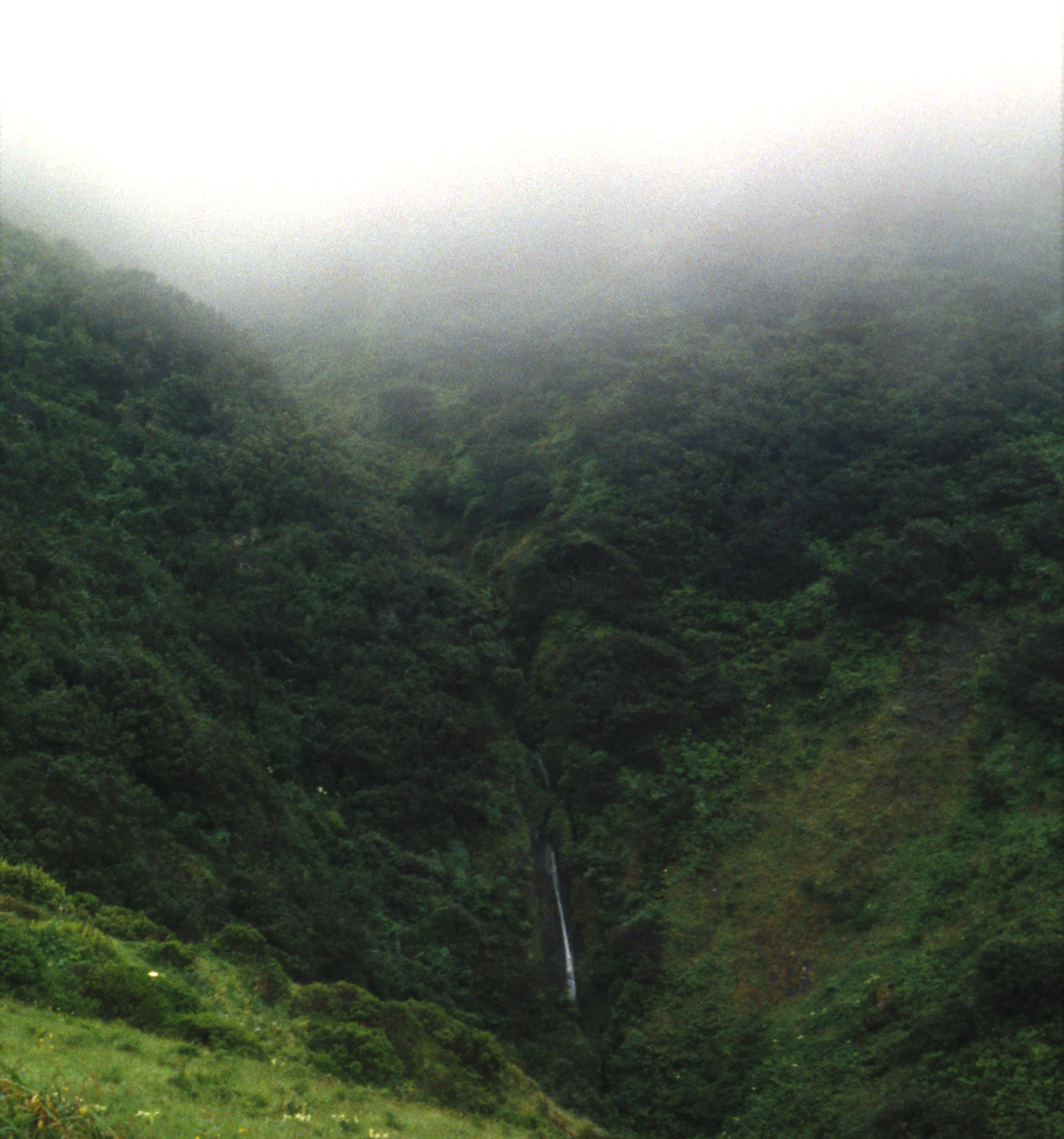 viewupT4.jpg
