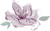 TransparentLily.png