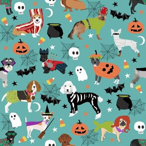 6845849-dogs-halloween-costumes-dog-breeds-dressed-up-fabric-turquoise-by-petfriendly.jpg