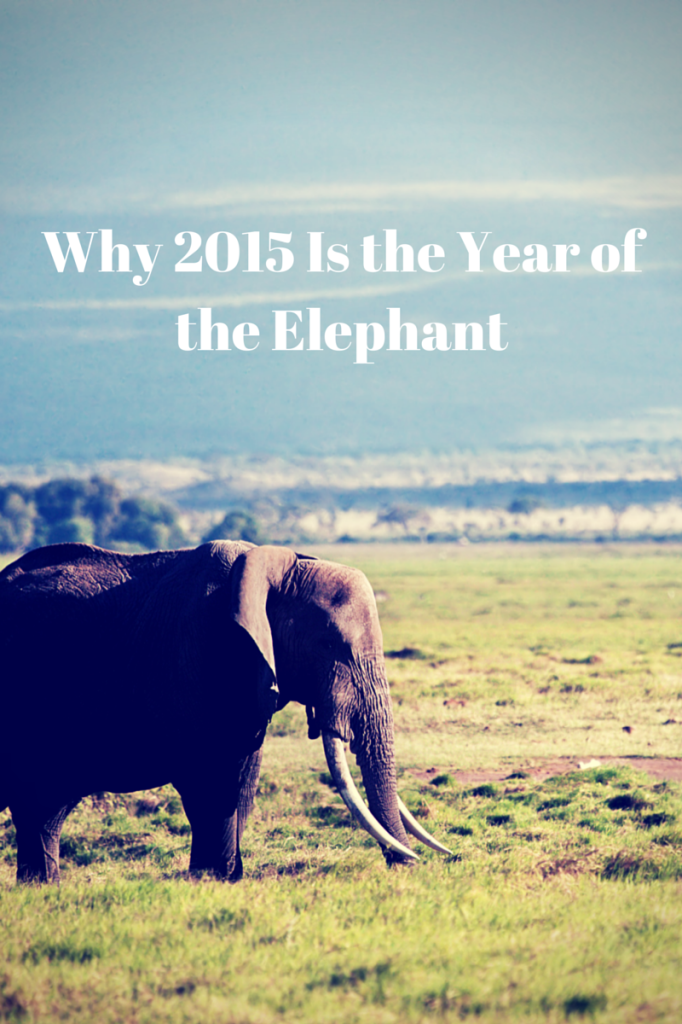 Why 2015 Is the Year of the Elephant