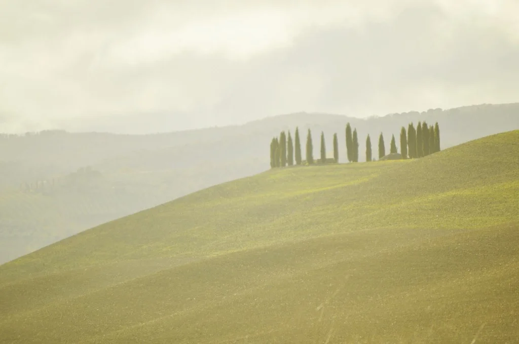 Hillside-Tuscany-Vinley-Entire-1024x680.jpg