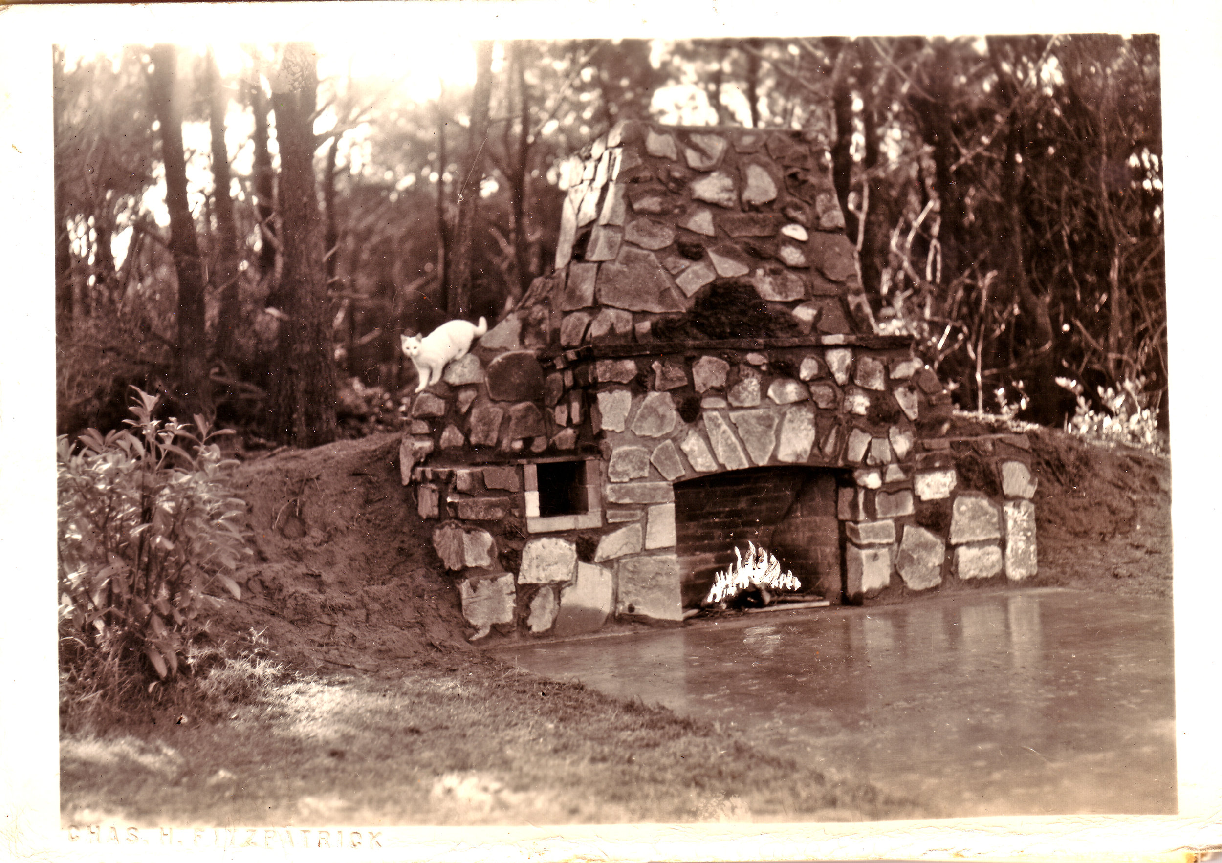 fireplace orig..jpg