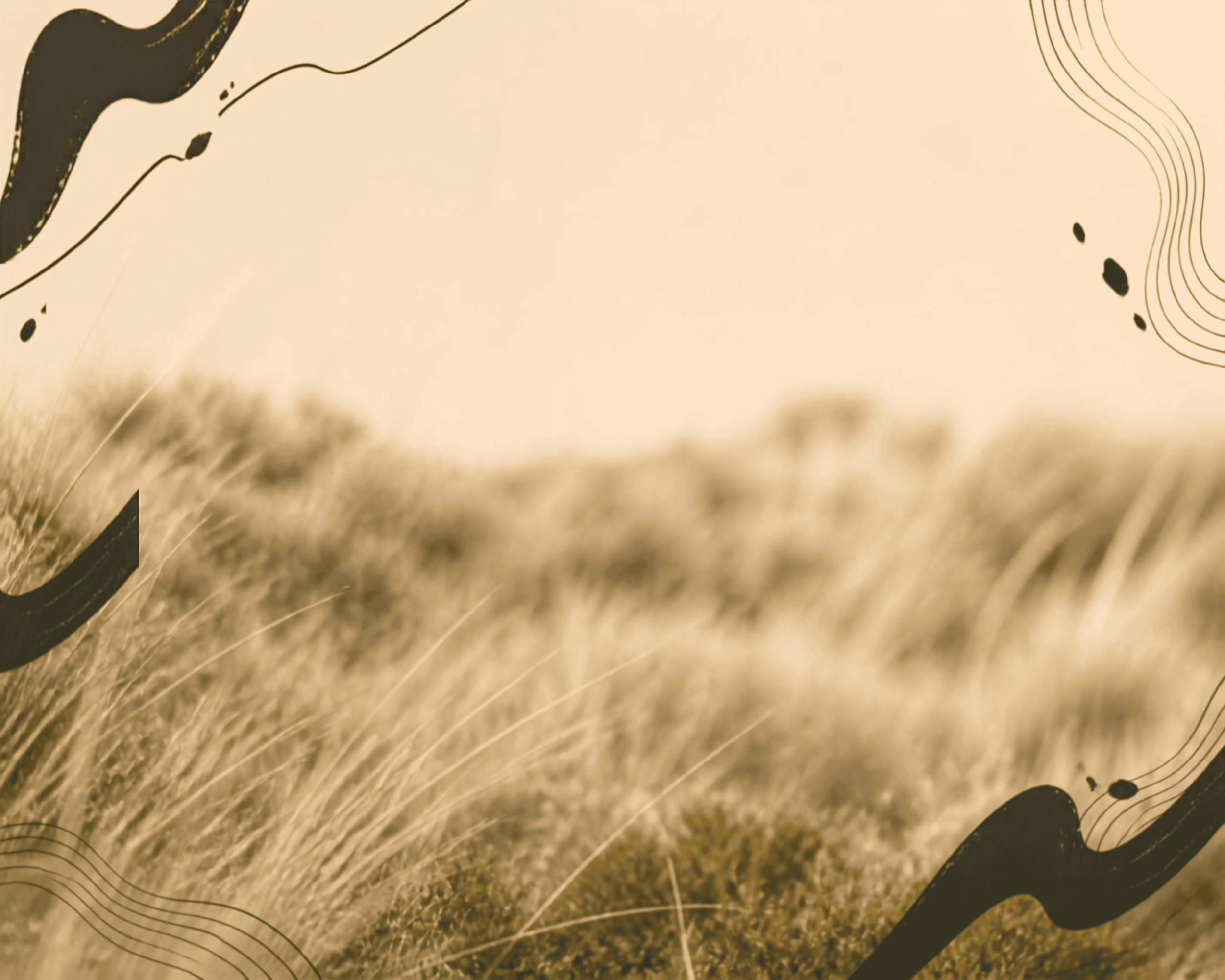 2027 Wnt Rt Banner.png