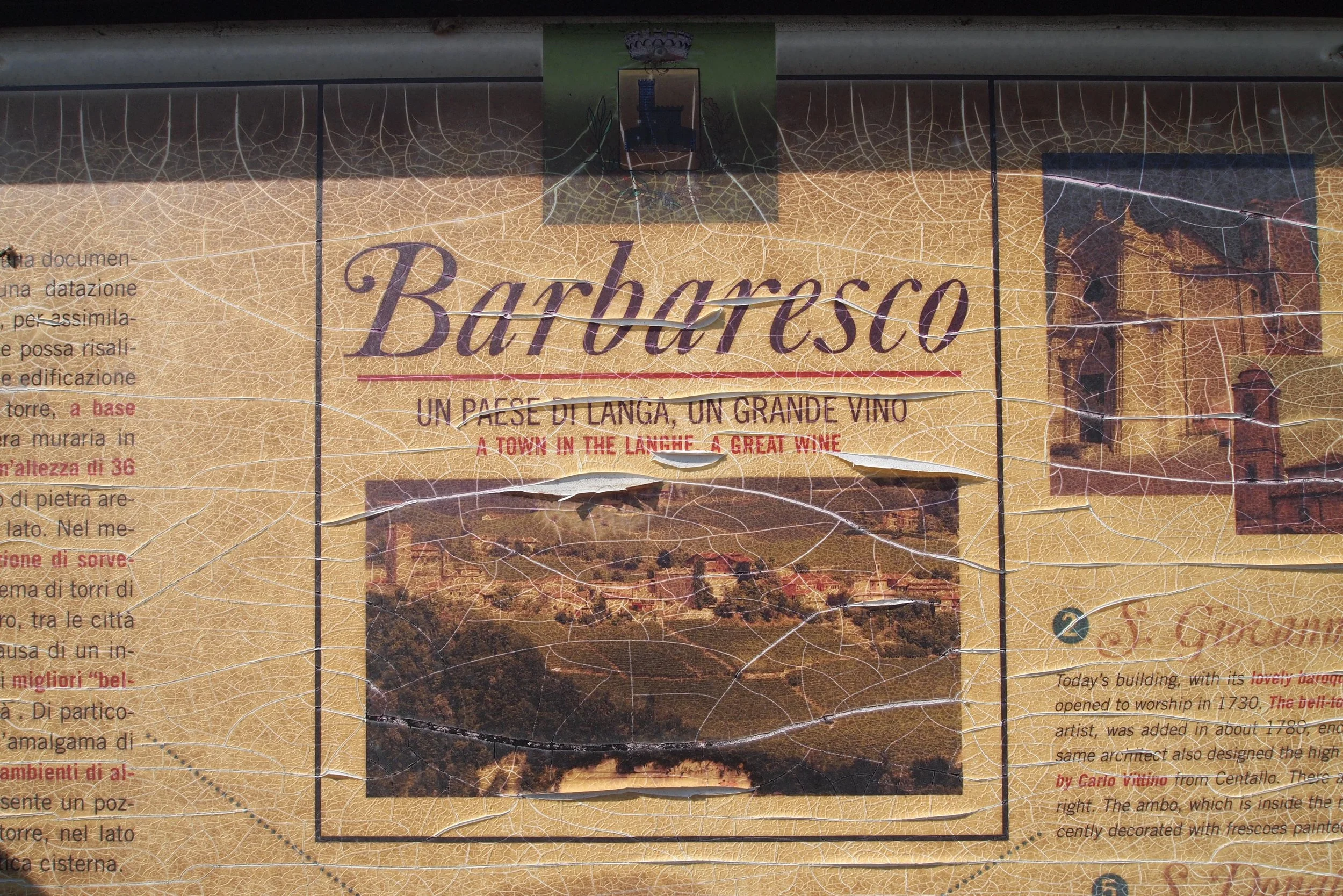 P1017316.jpg