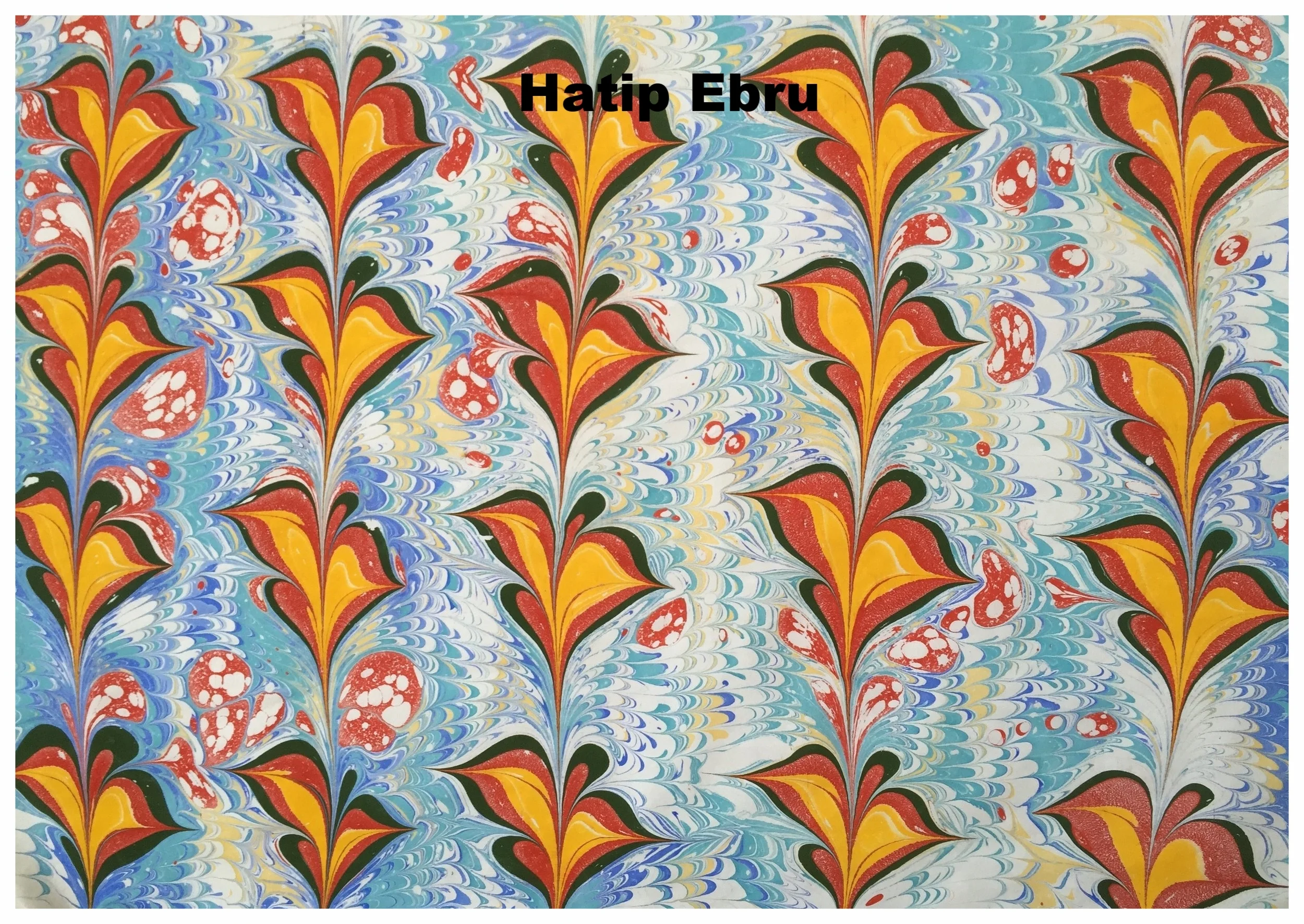 Copy of FullSizeRender (2).JPG