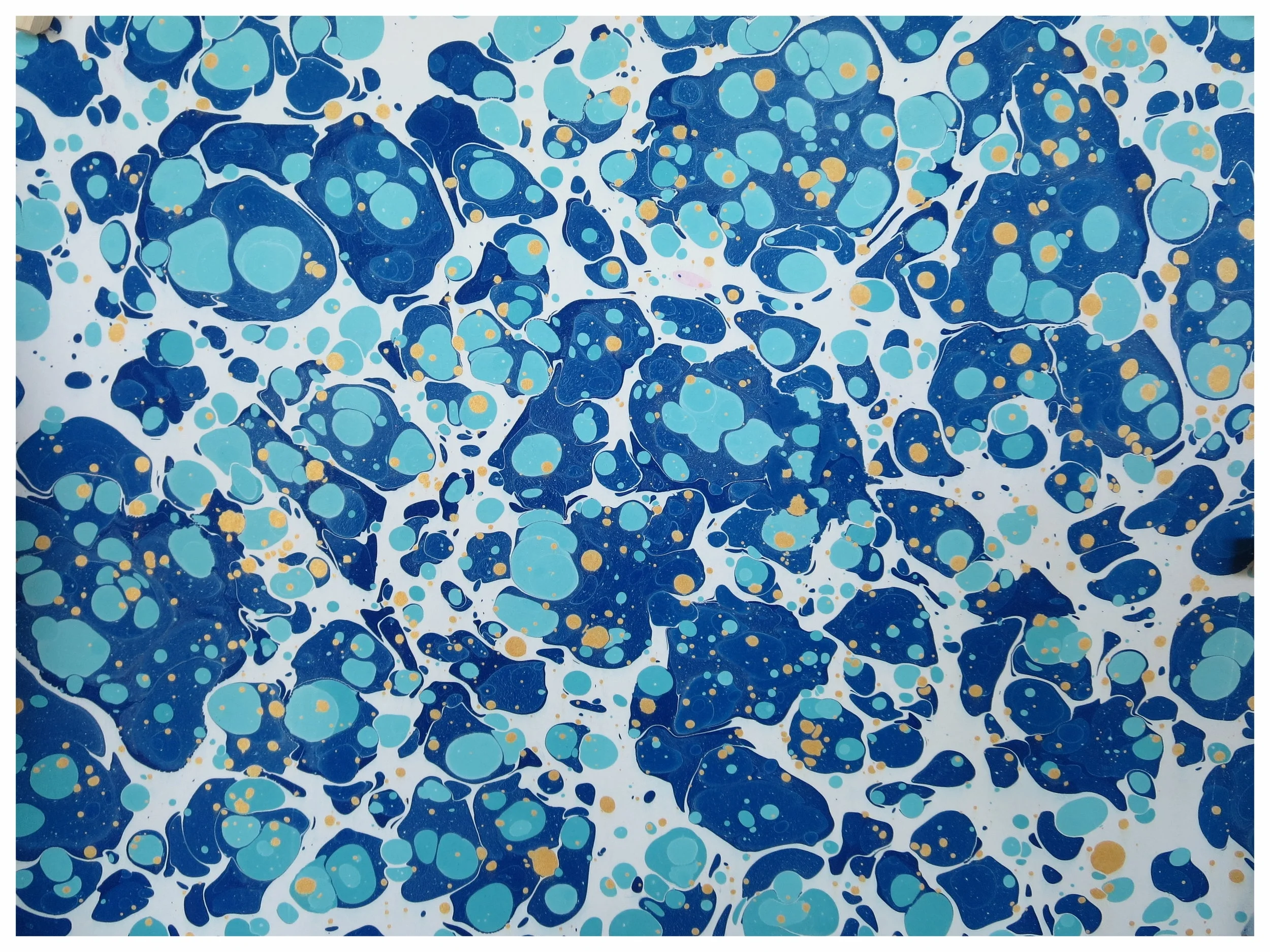 Ebru-Oct  2017 033.jpg