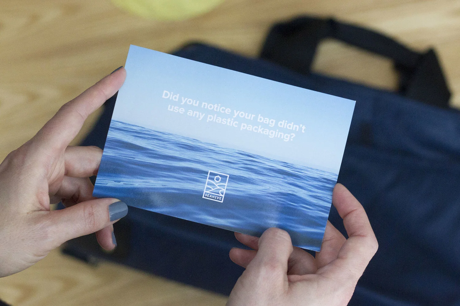 Turning the Tide: SeaHive Shifts Direction