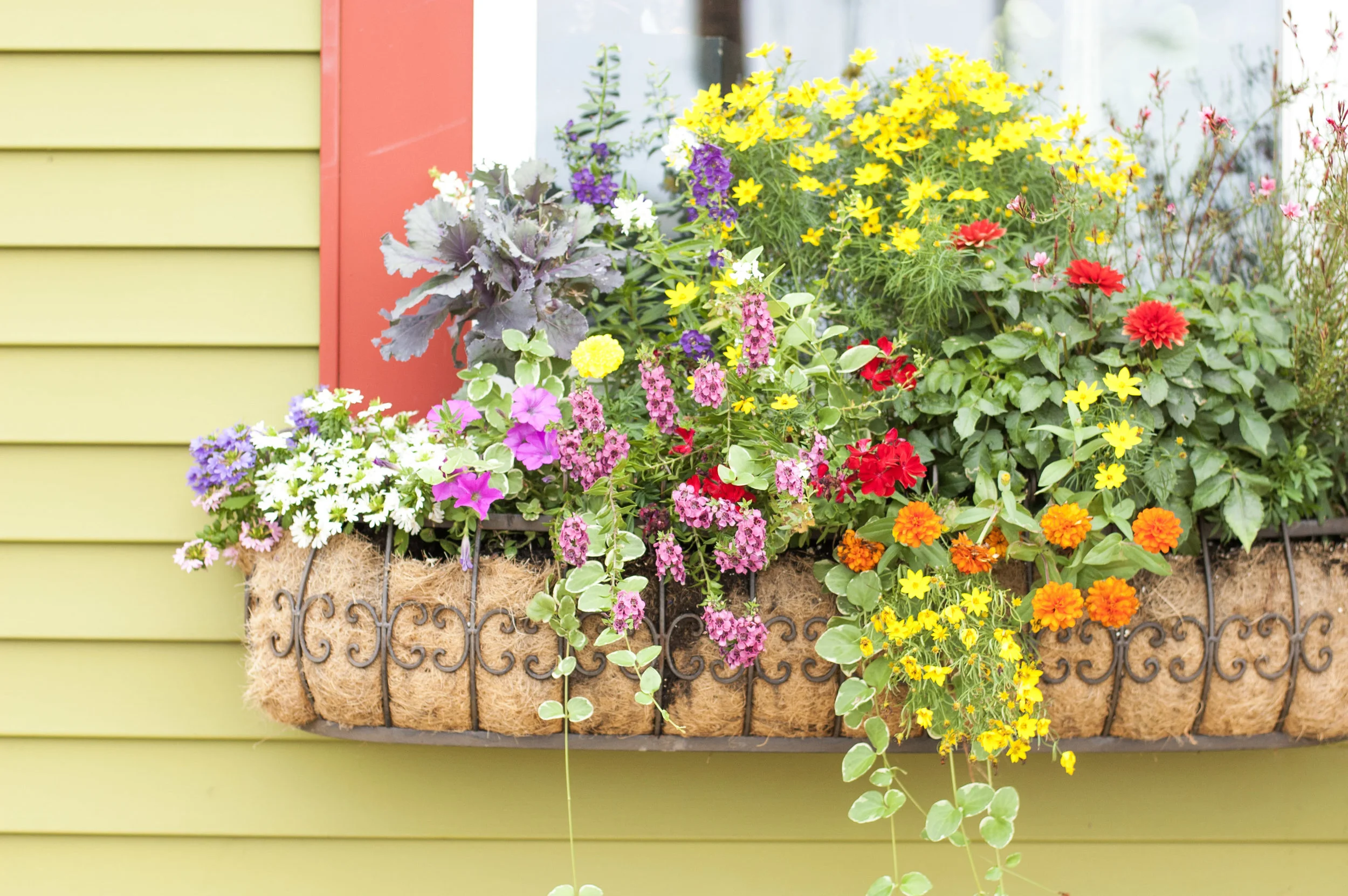 Going for it...or at least trying.